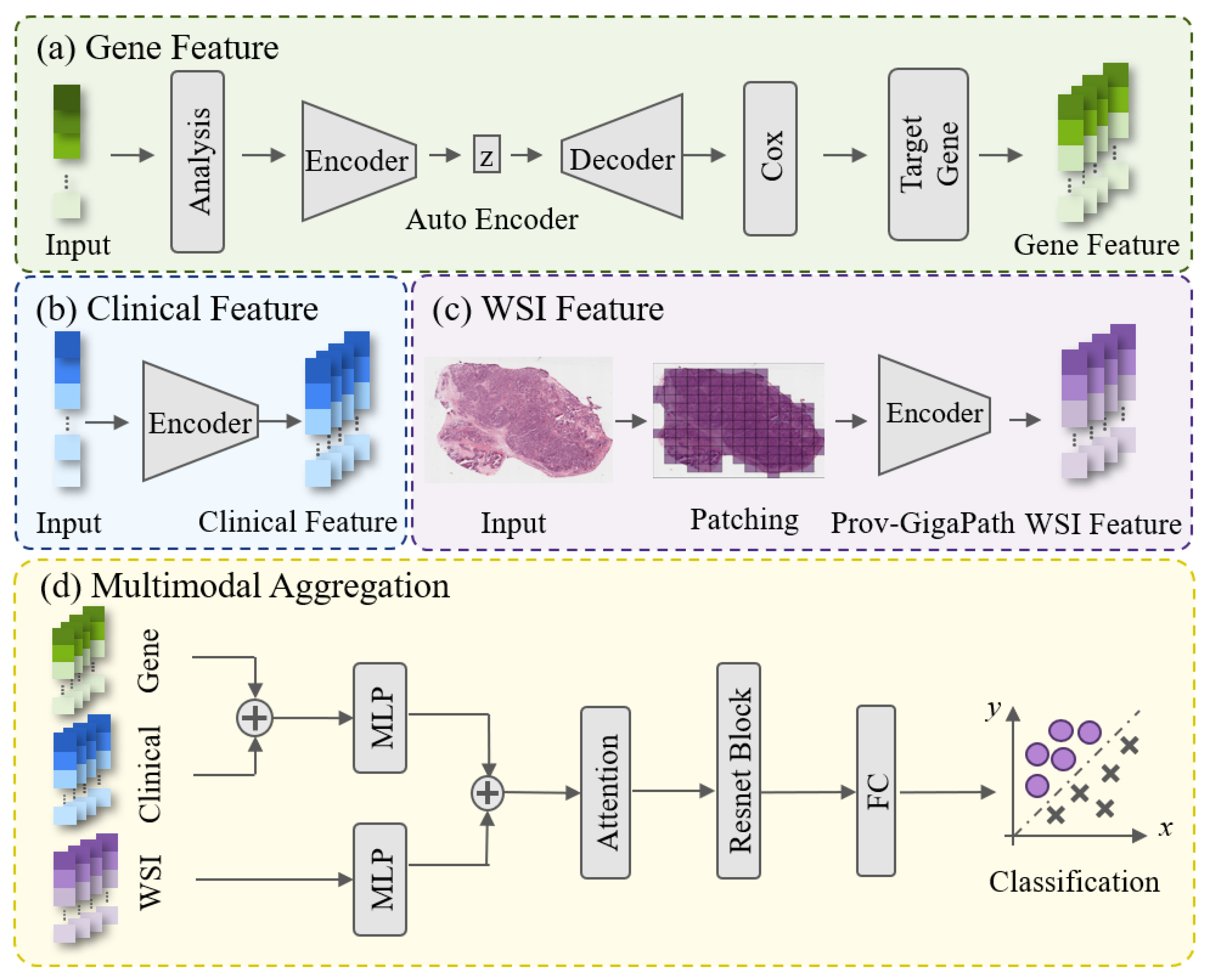 Bioengineering 13 00142 g001