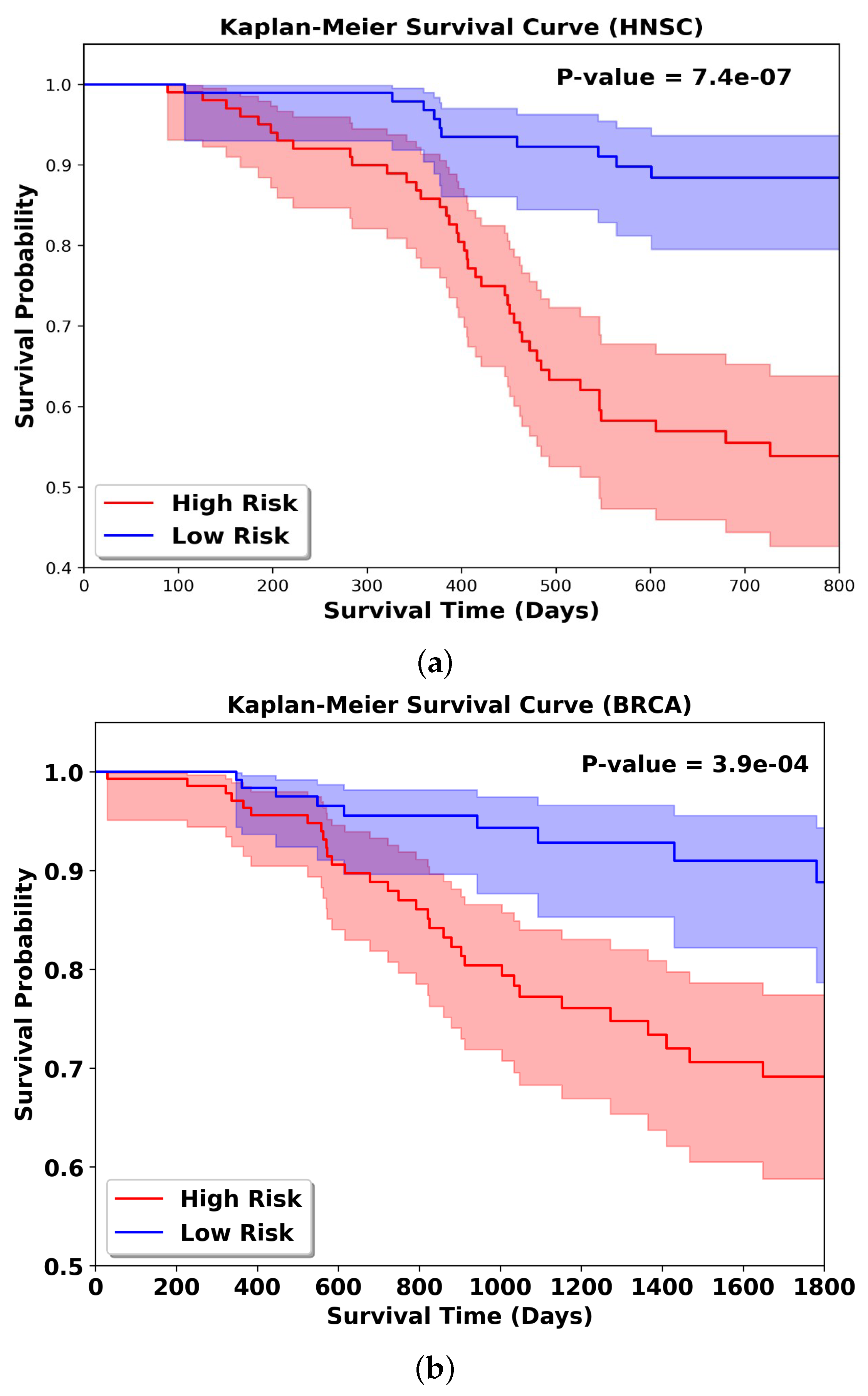 Bioengineering 13 00142 g005