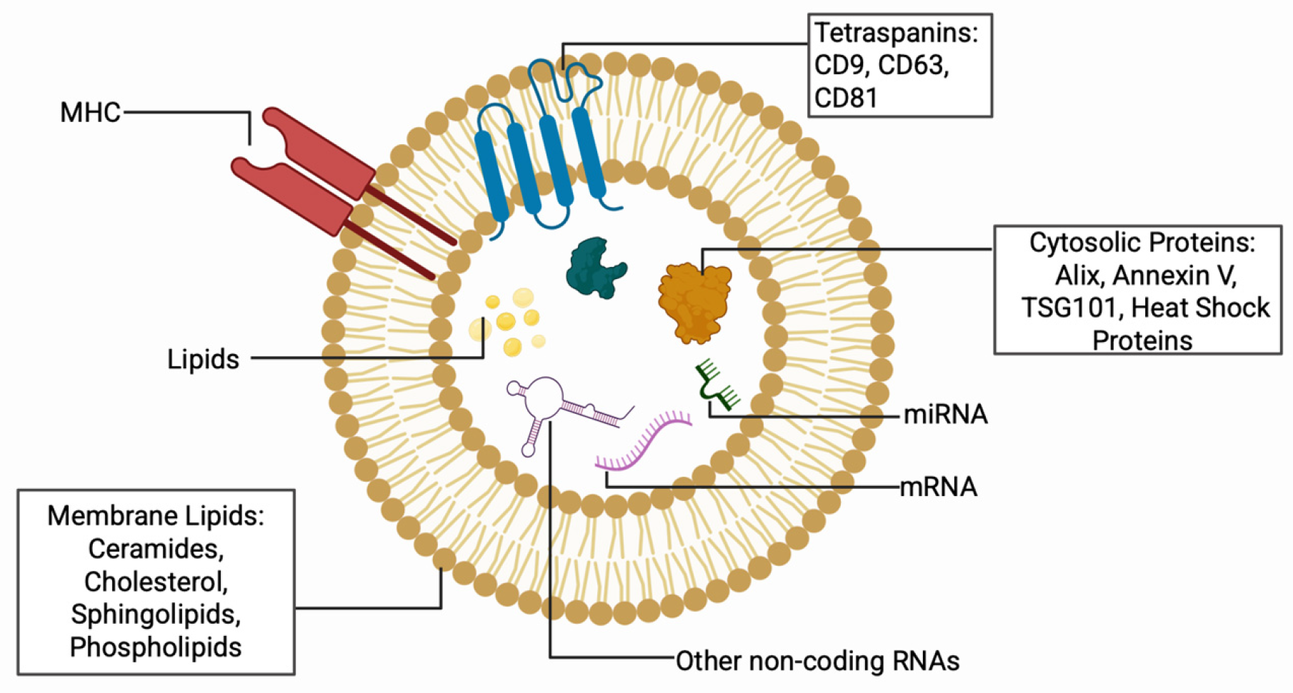 Bioengineering 13 00148 g002