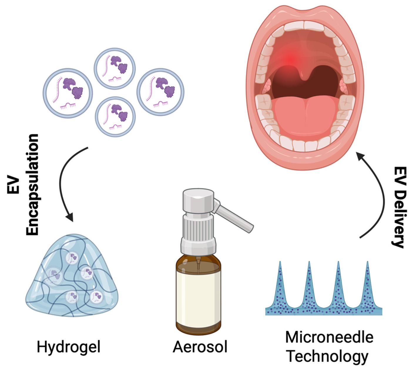 Bioengineering 13 00148 g006