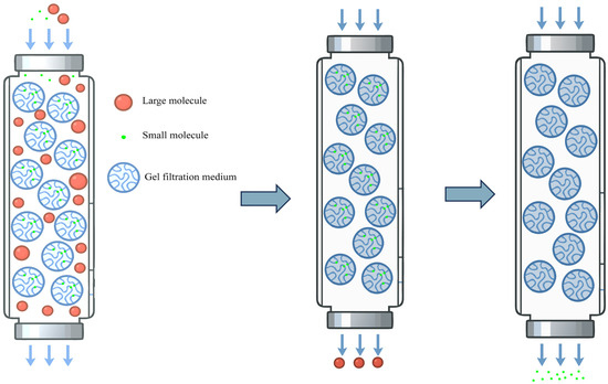 Progress in the Expression, Purification, and Characterization of