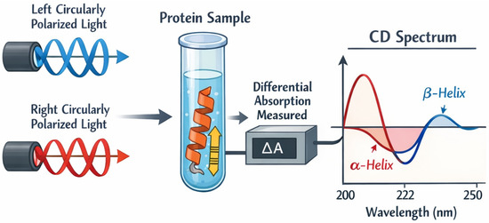 Progress in the Expression, Purification, and Characterization of