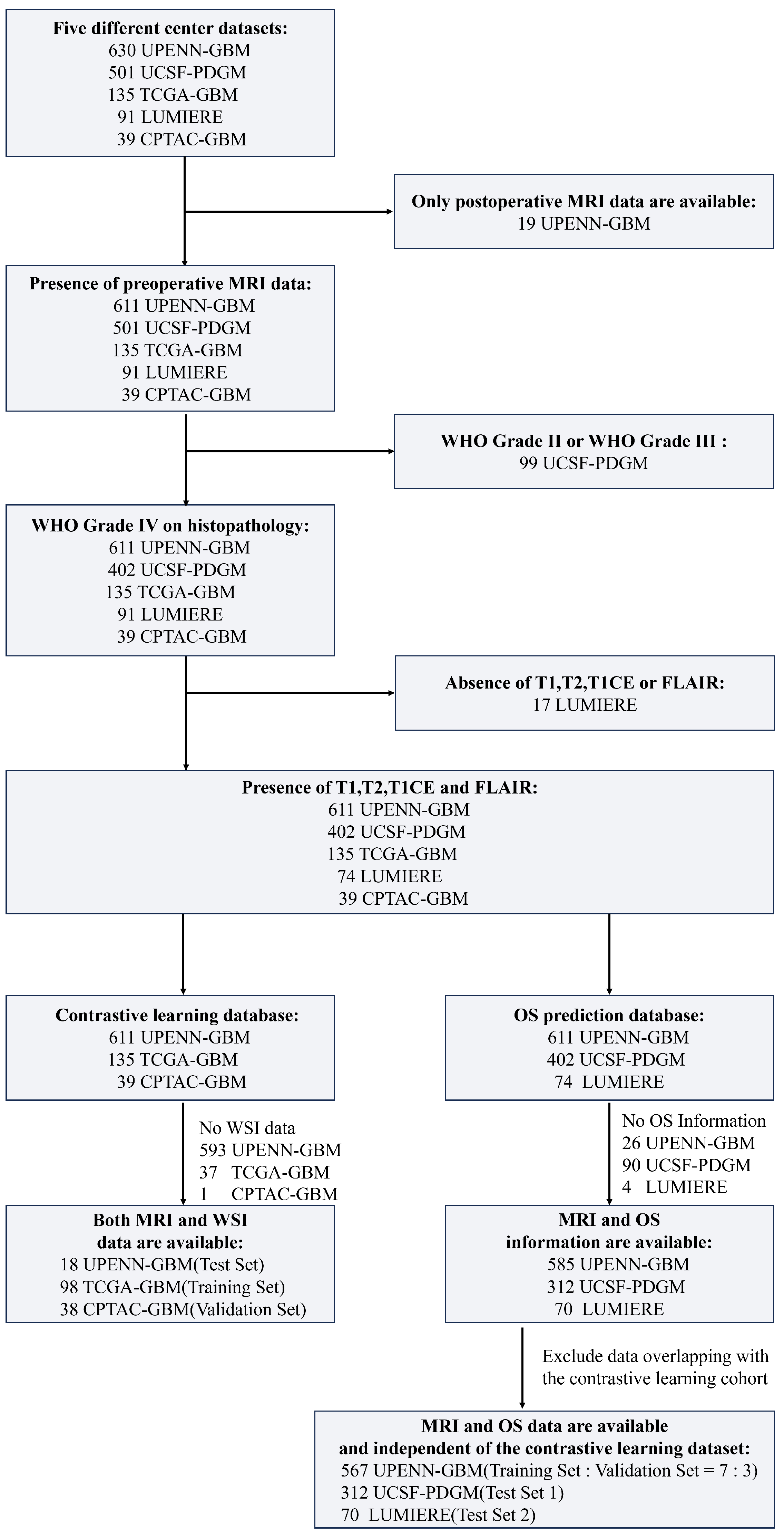 Bioengineering 13 00179 g001