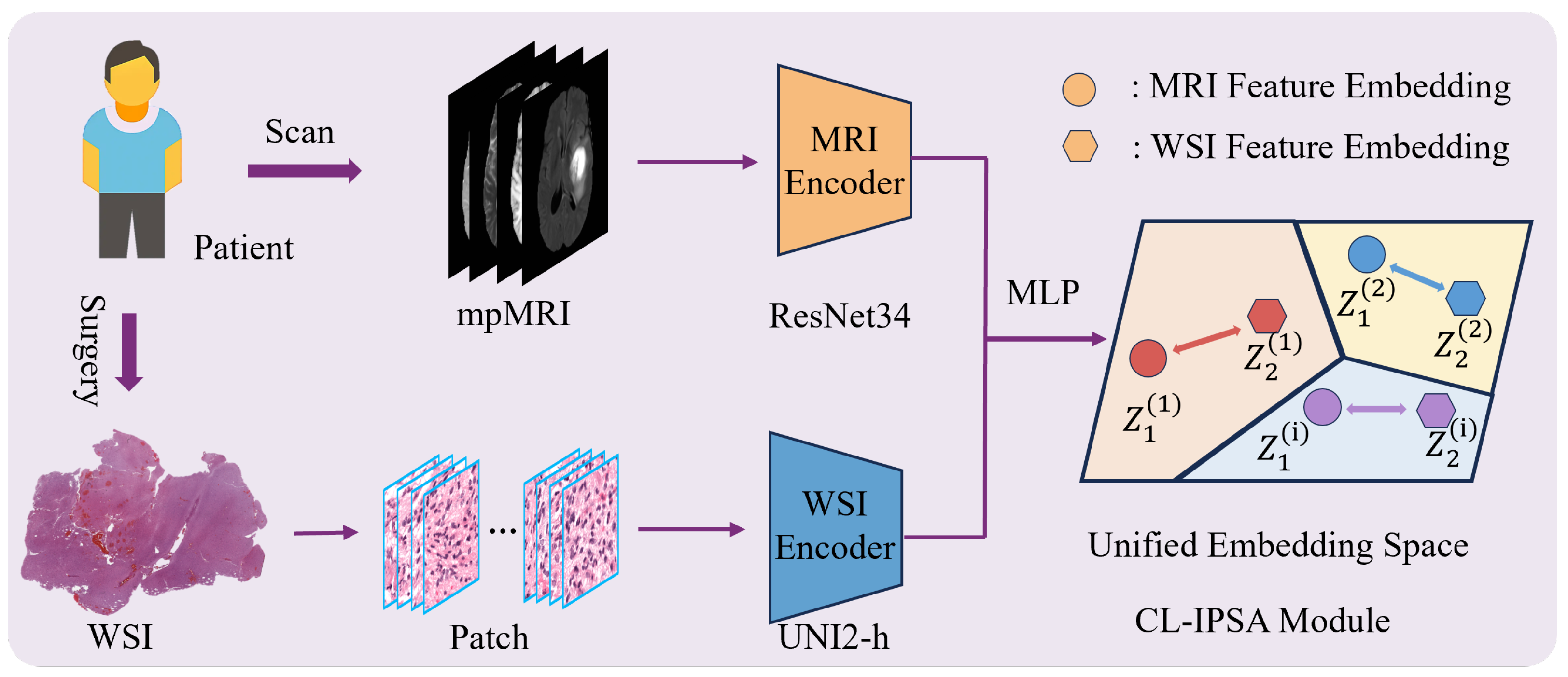 Bioengineering 13 00179 g003