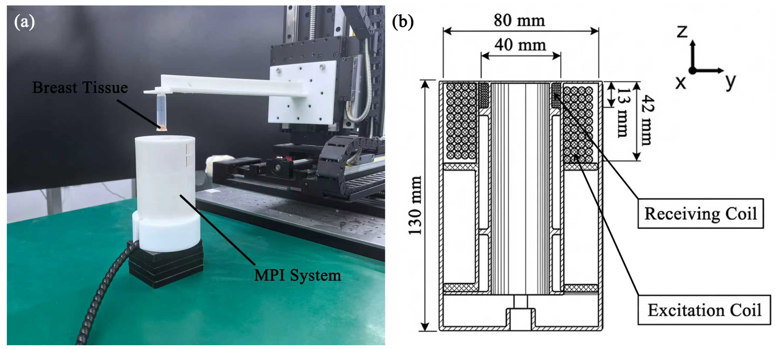 Bioengineering 13 00183 g002
