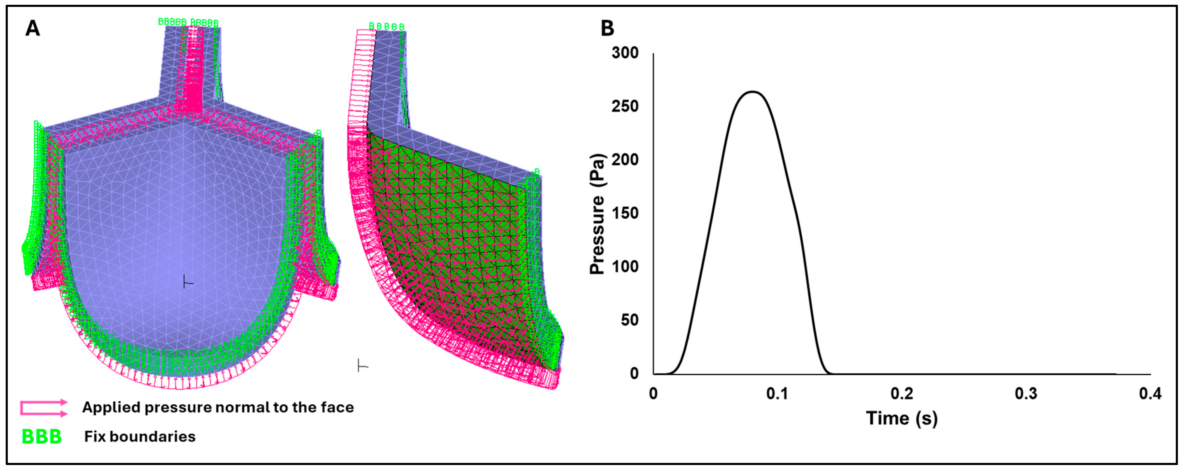 Bioengineering 13 00189 g005