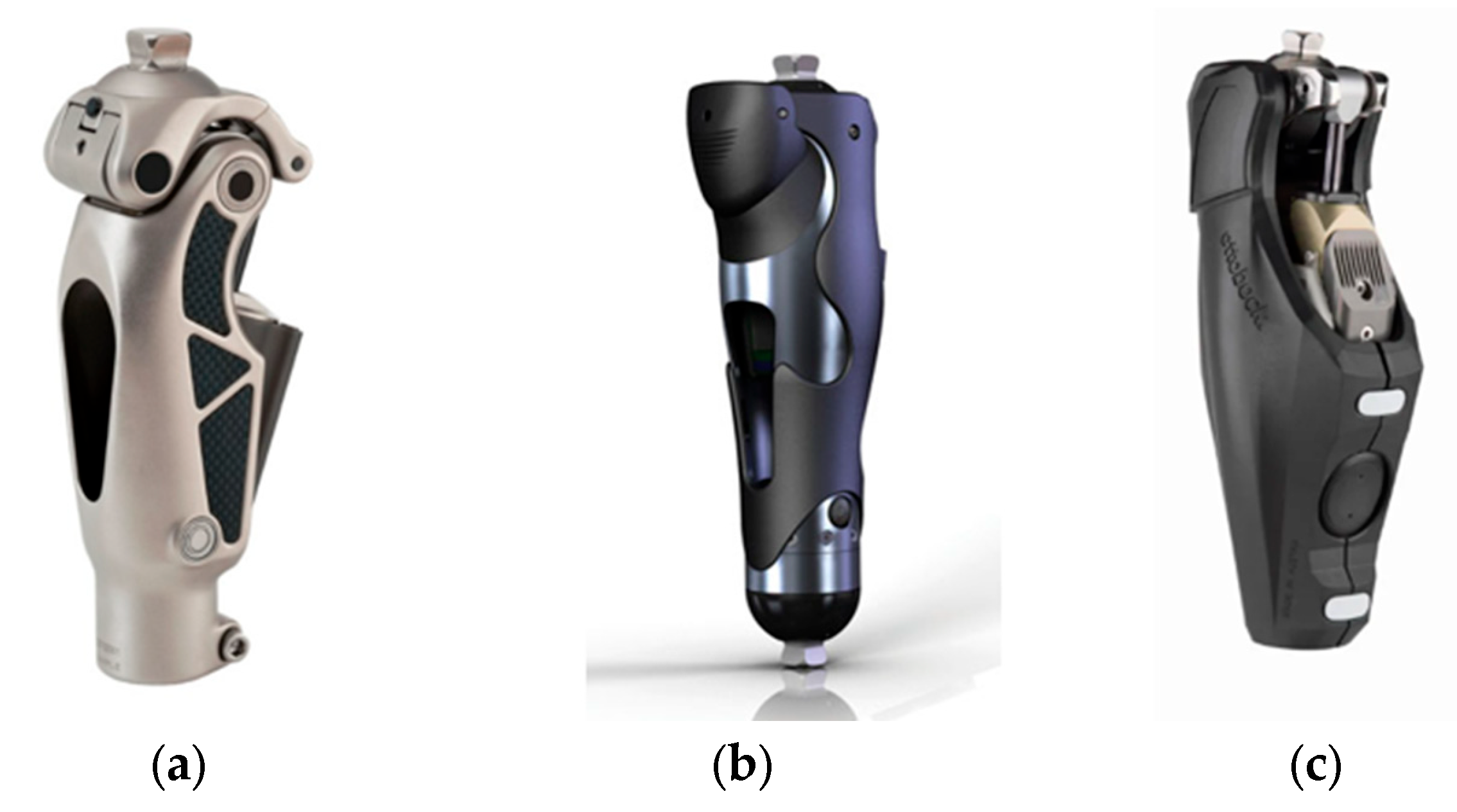 Bioengineering 13 00201 g003