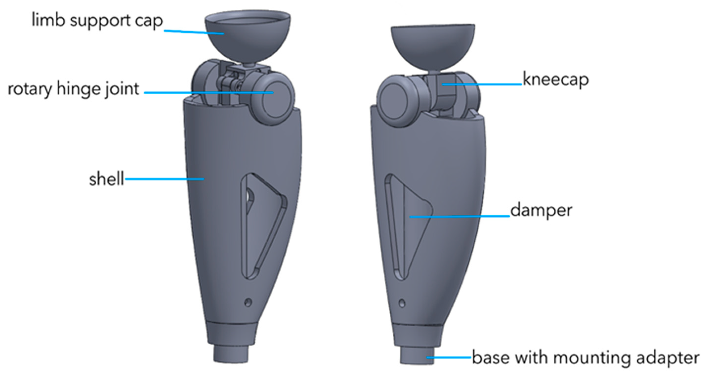 Bioengineering 13 00201 g005