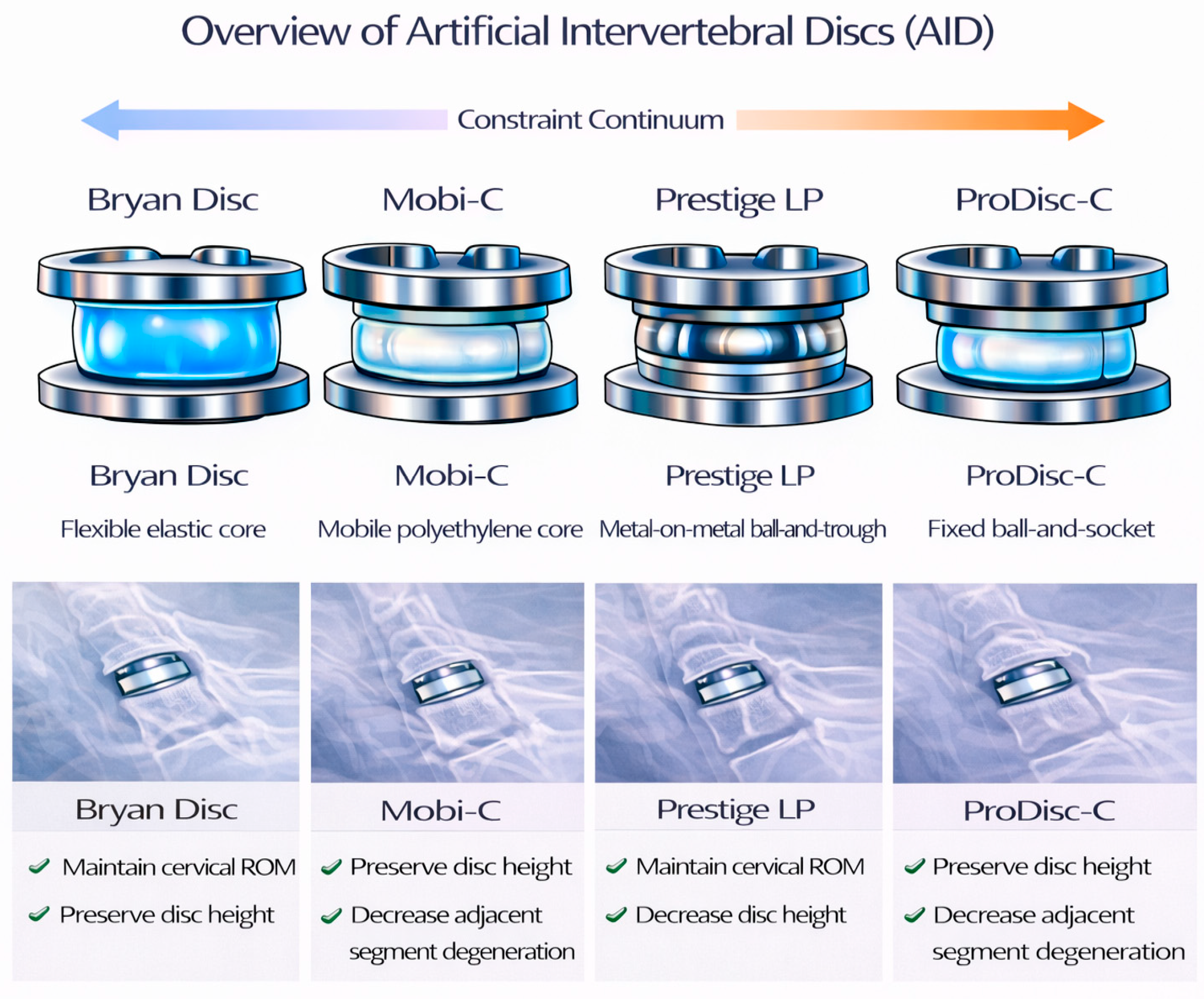 Bioengineering 13 00228 g002