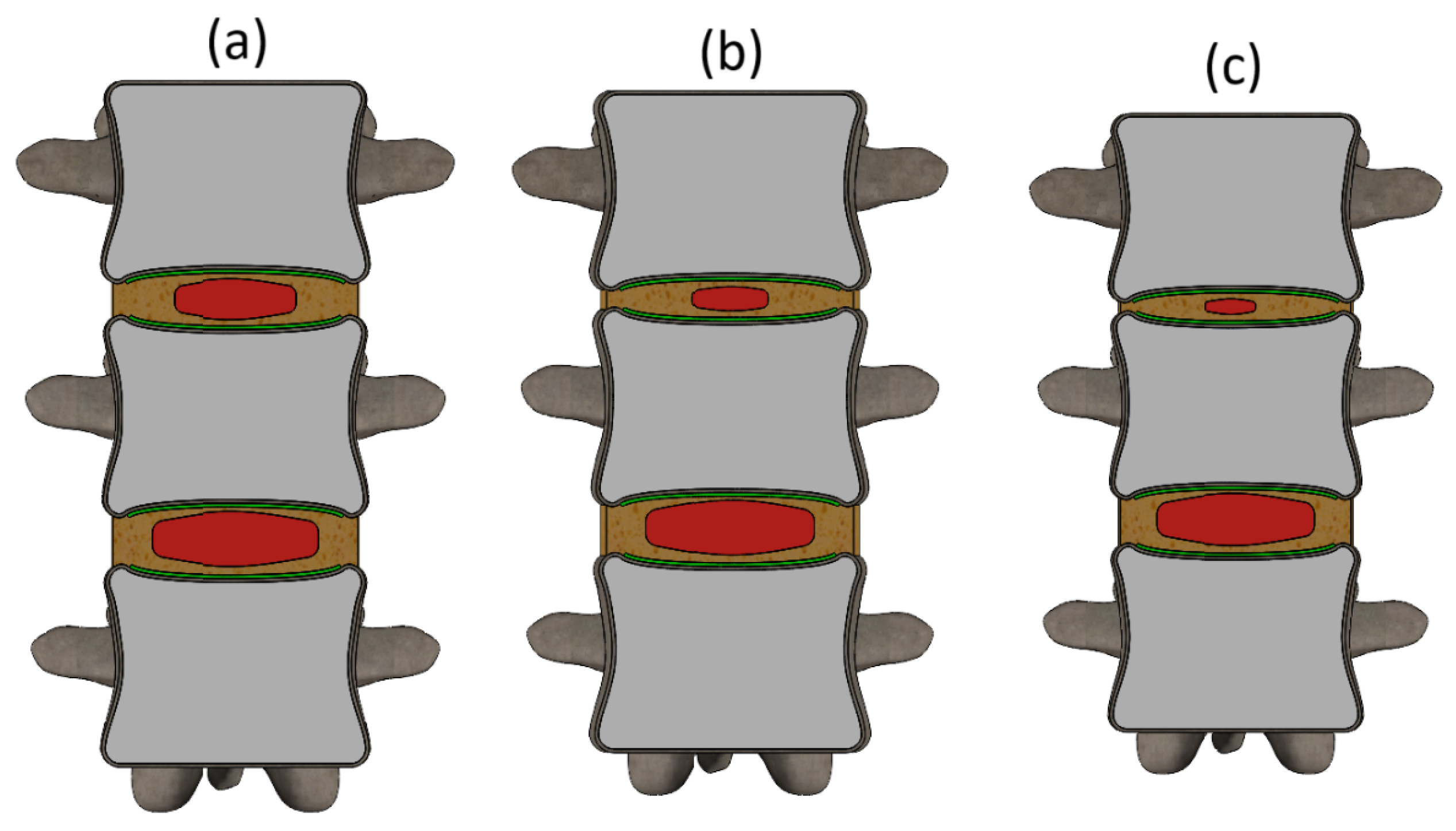 Bioengineering 13 00234 g002