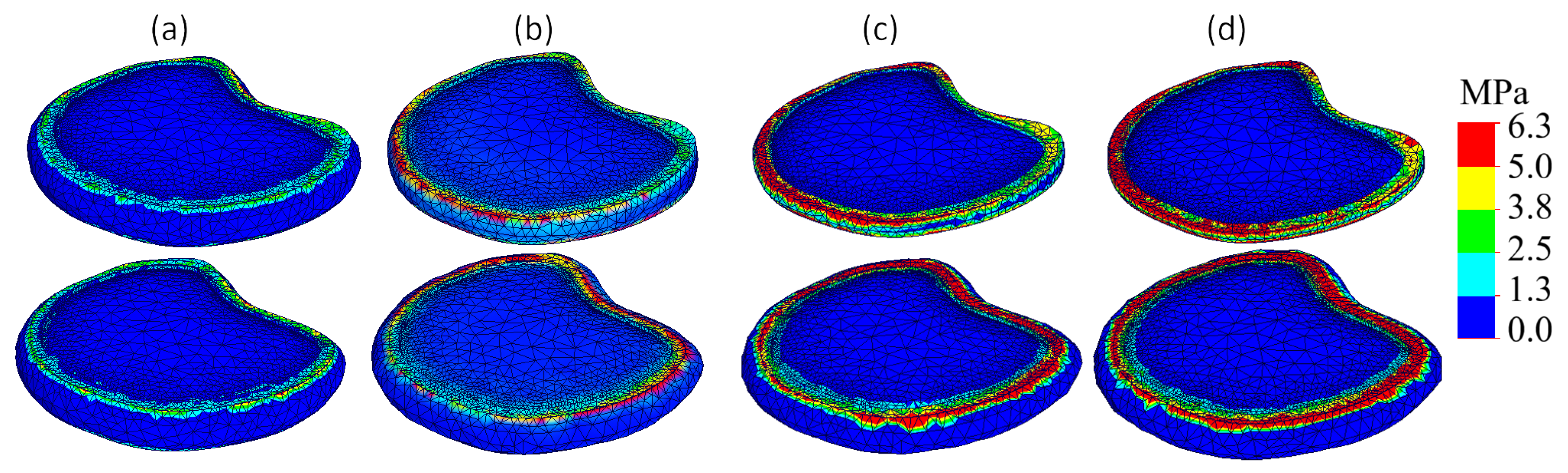 Bioengineering 13 00234 g007