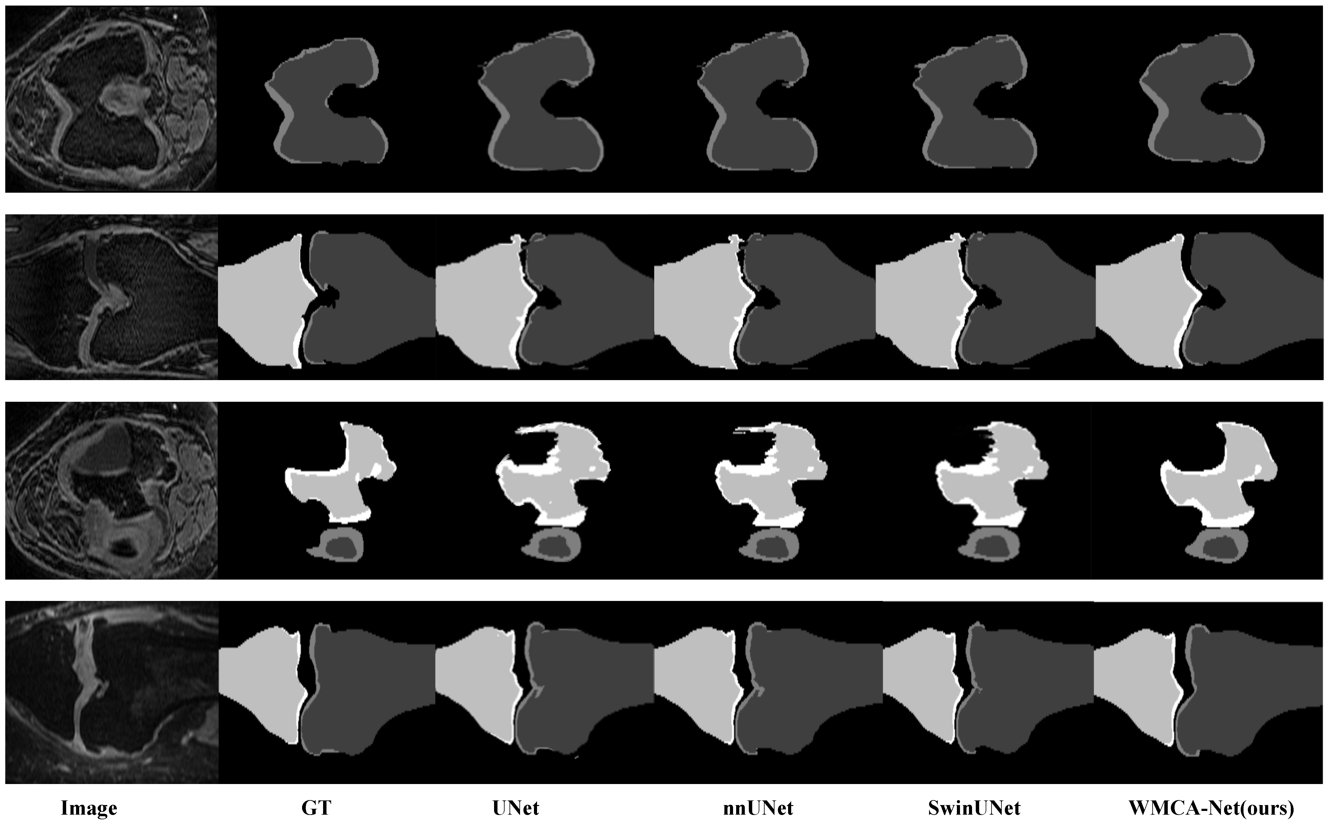 Bioengineering 13 00236 g009