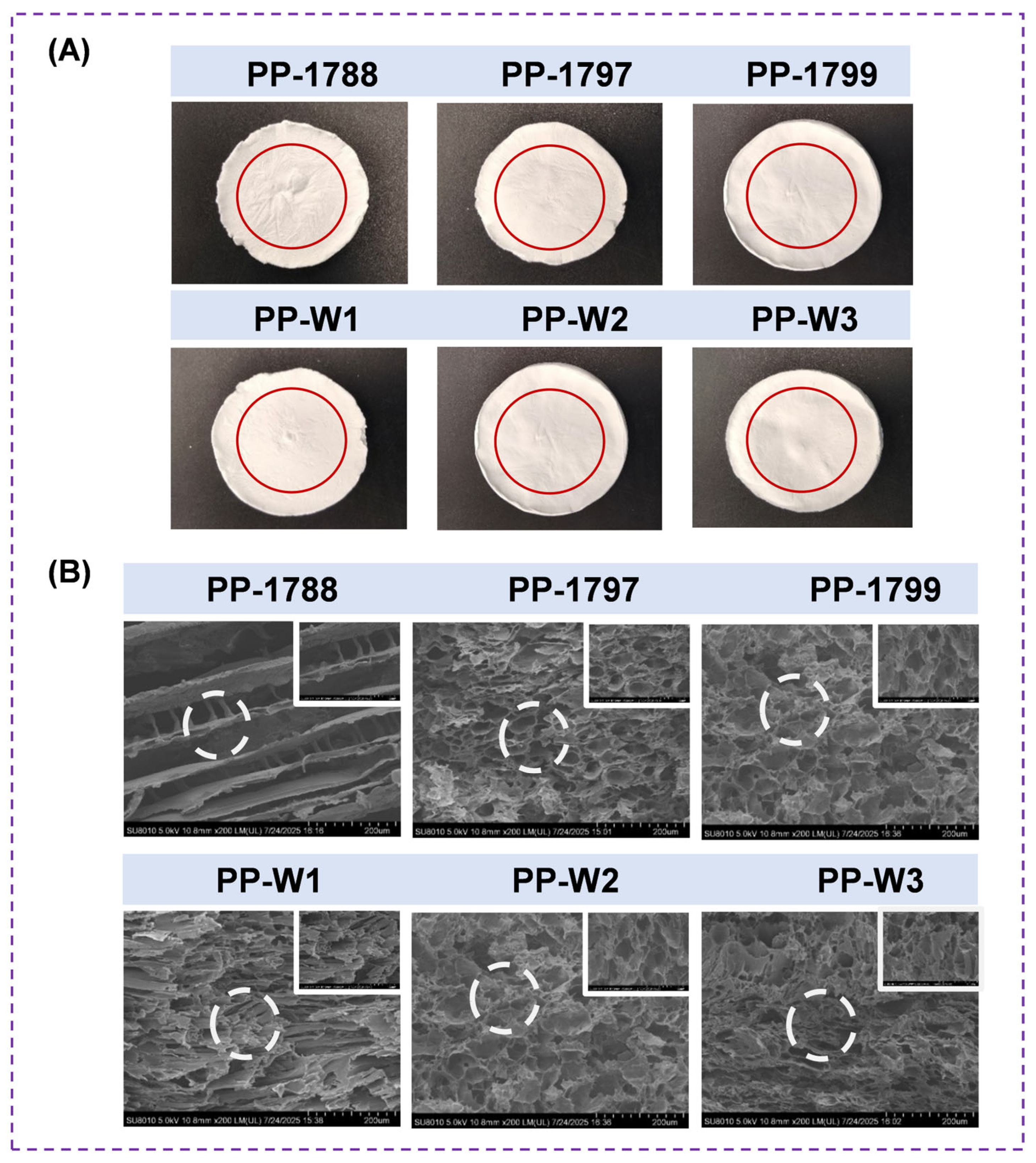 Bioengineering 13 00259 g002 Bioengineering 13 00259 g002