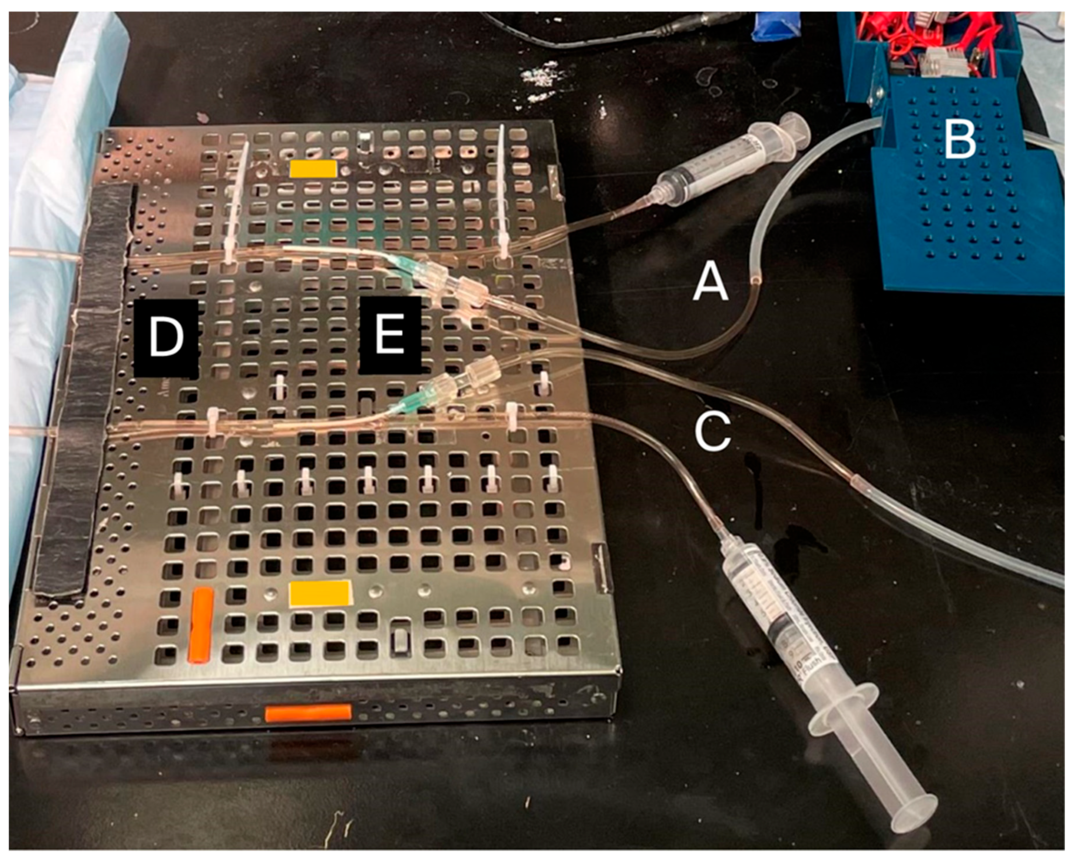 Bioengineering 13 00279 g002