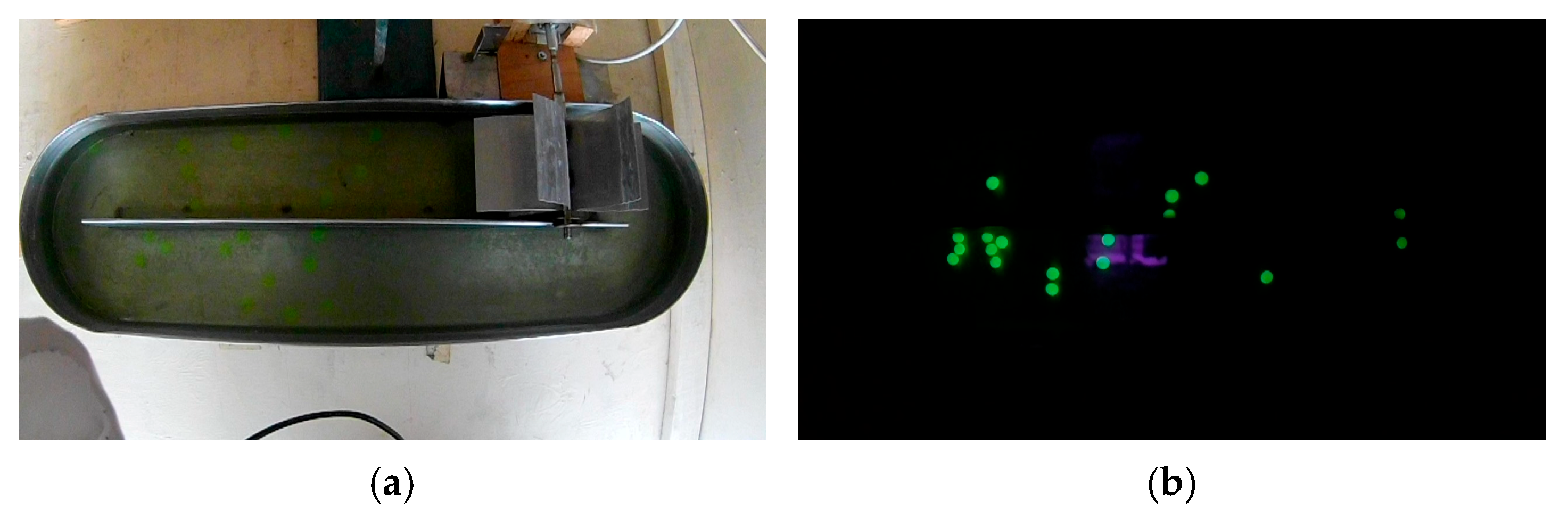 Bioengineering 13 00285 g003