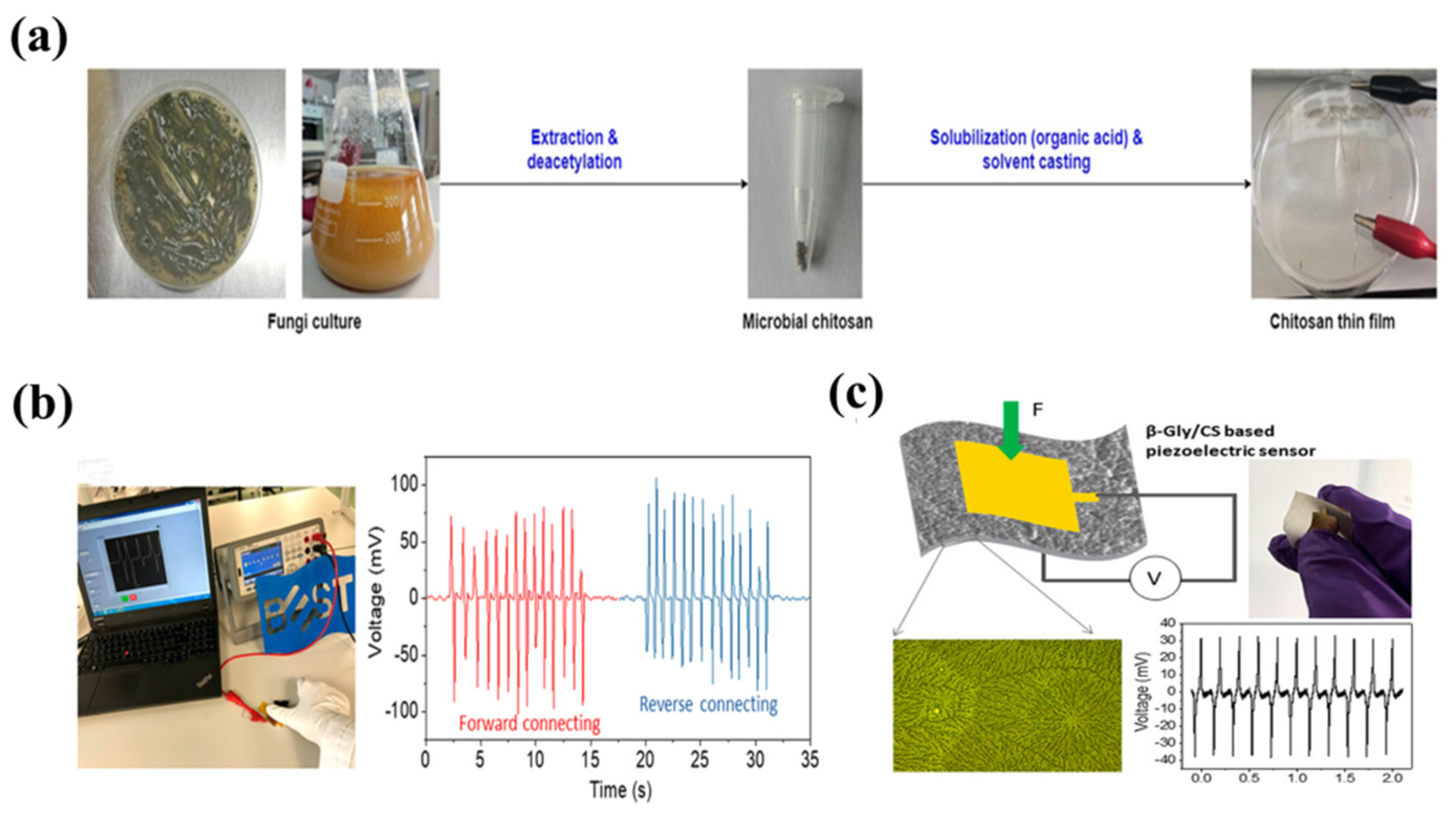 Bioengineering 13 00290 g008 Bioengineering 13 00290 g008