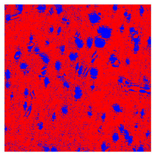 Bioengineering 13 00306 i018