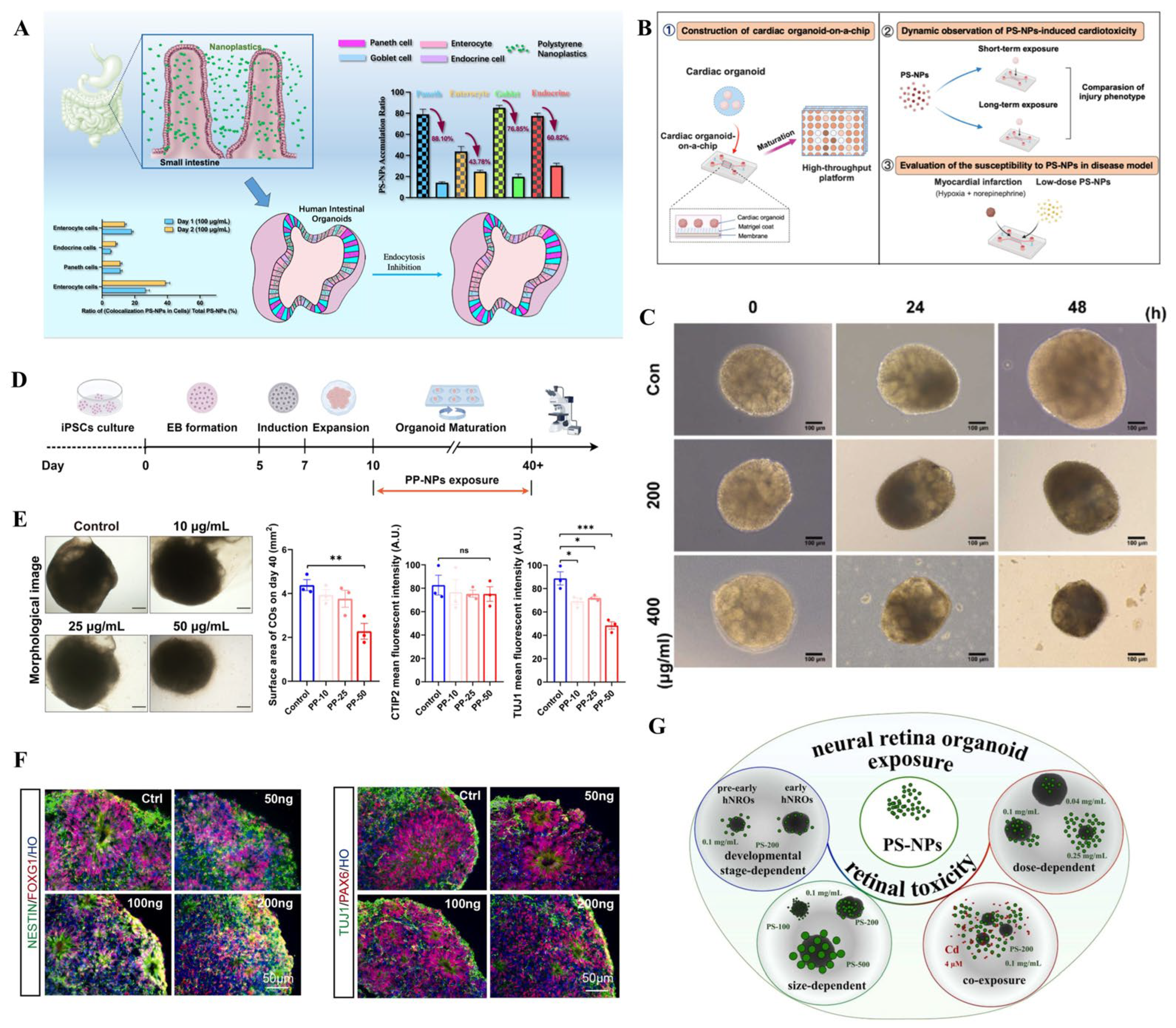 Bioengineering 13 00309 g003