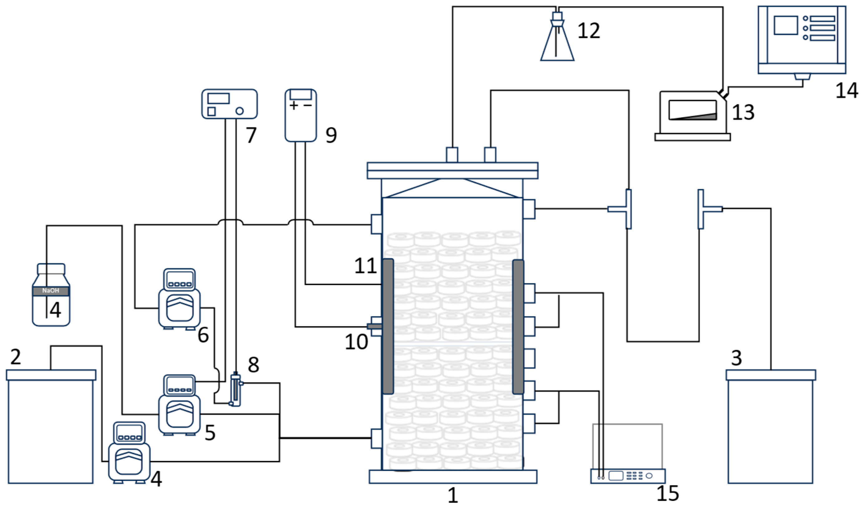 Bioengineering 13 00311 g001