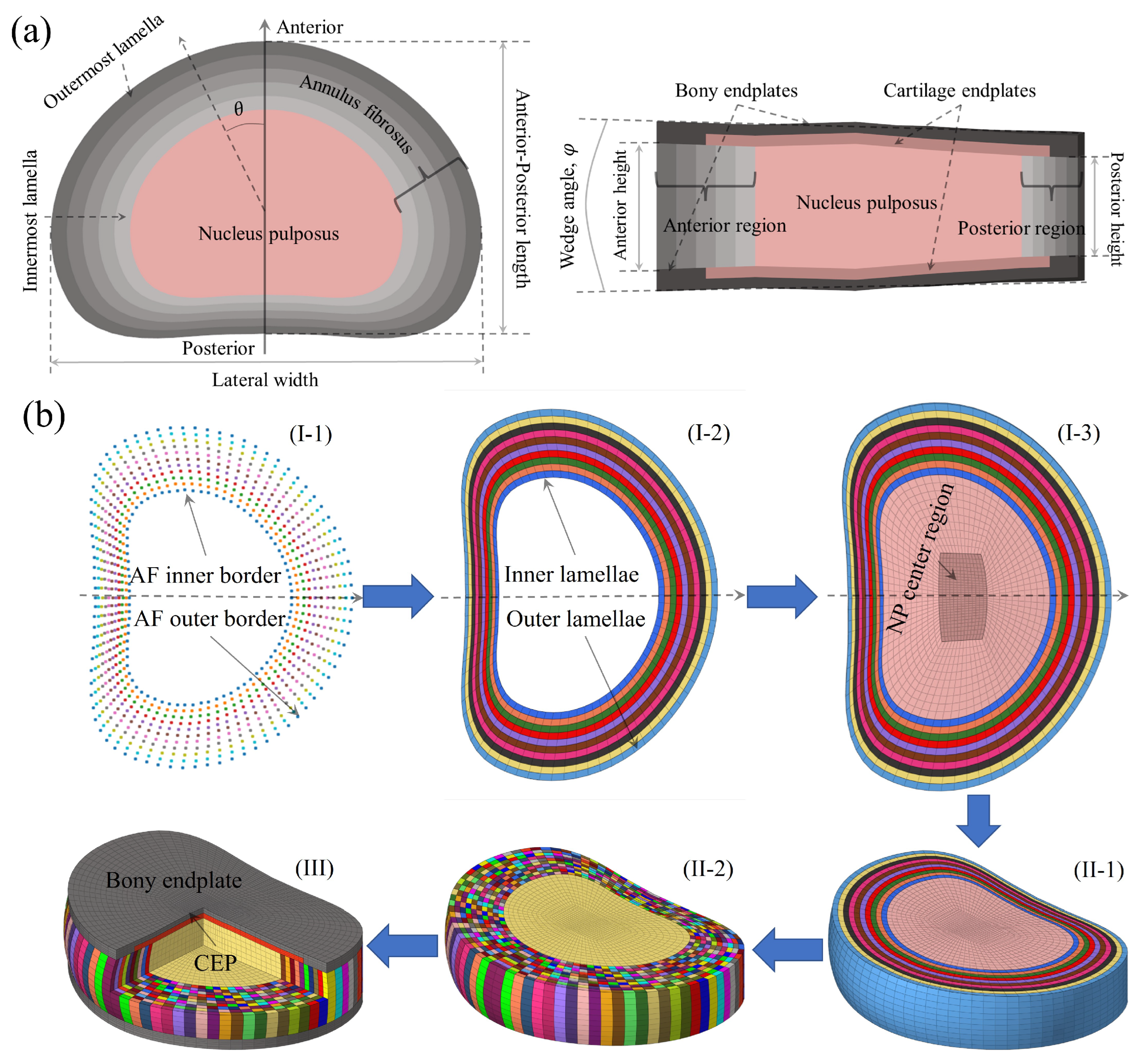 Bioengineering 13 00312 g001