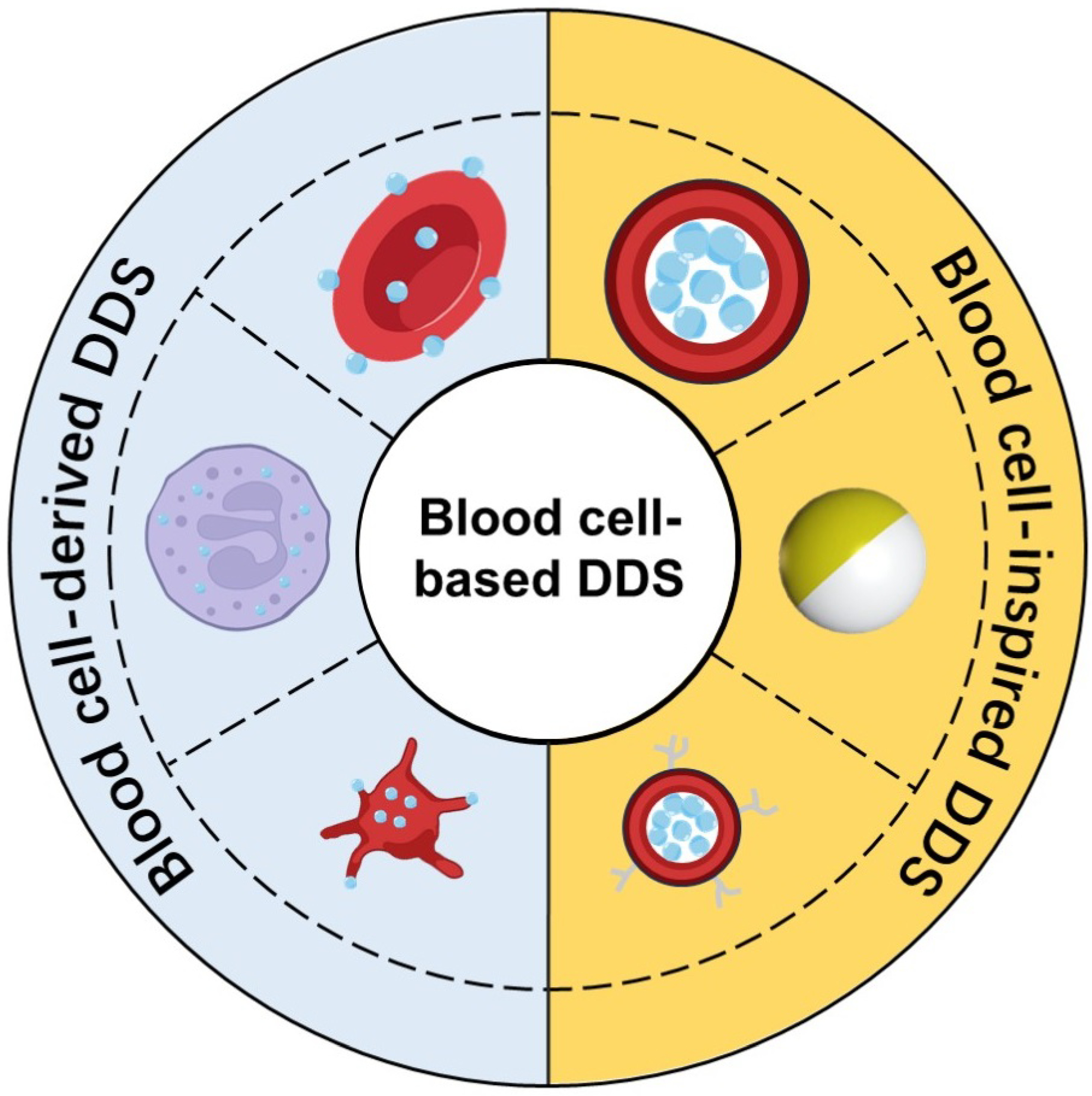 Bioengineering 13 00340 g001