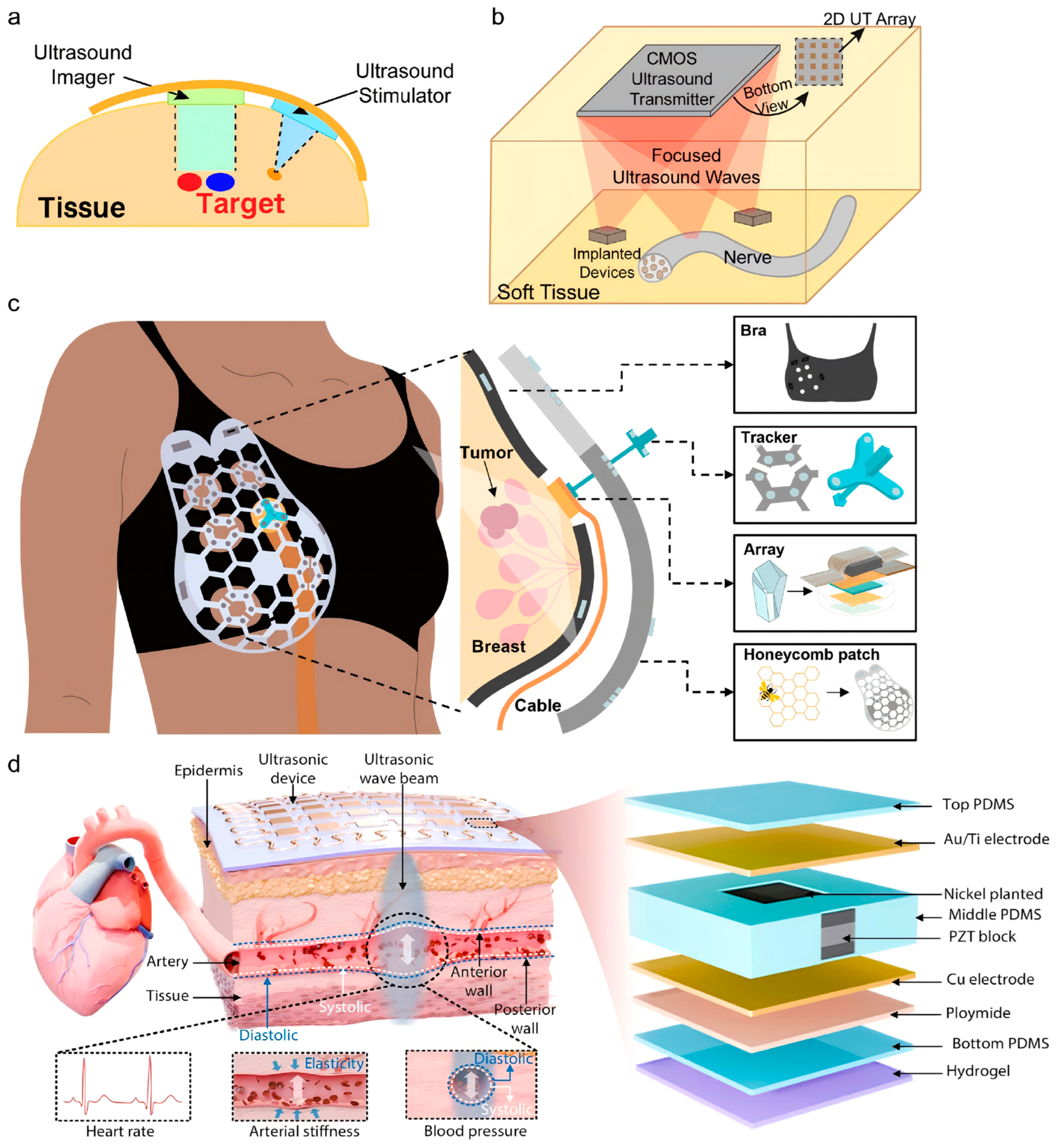 Bioengineering 13 00345 g002