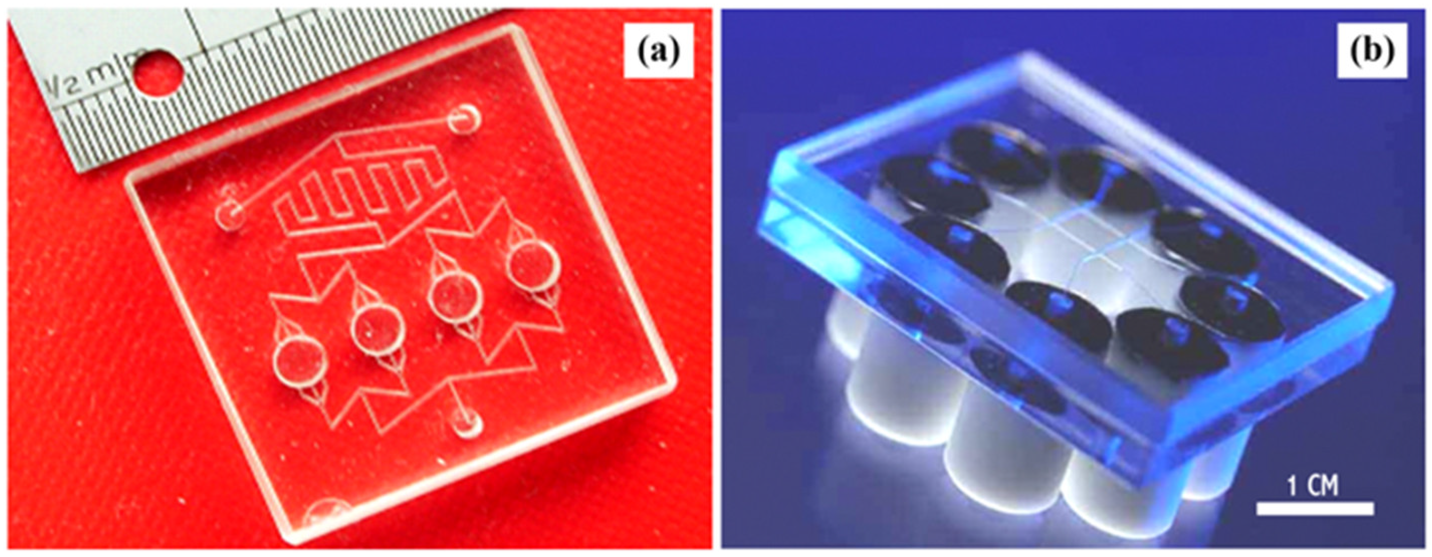 Bioengineering 13 00363 g002