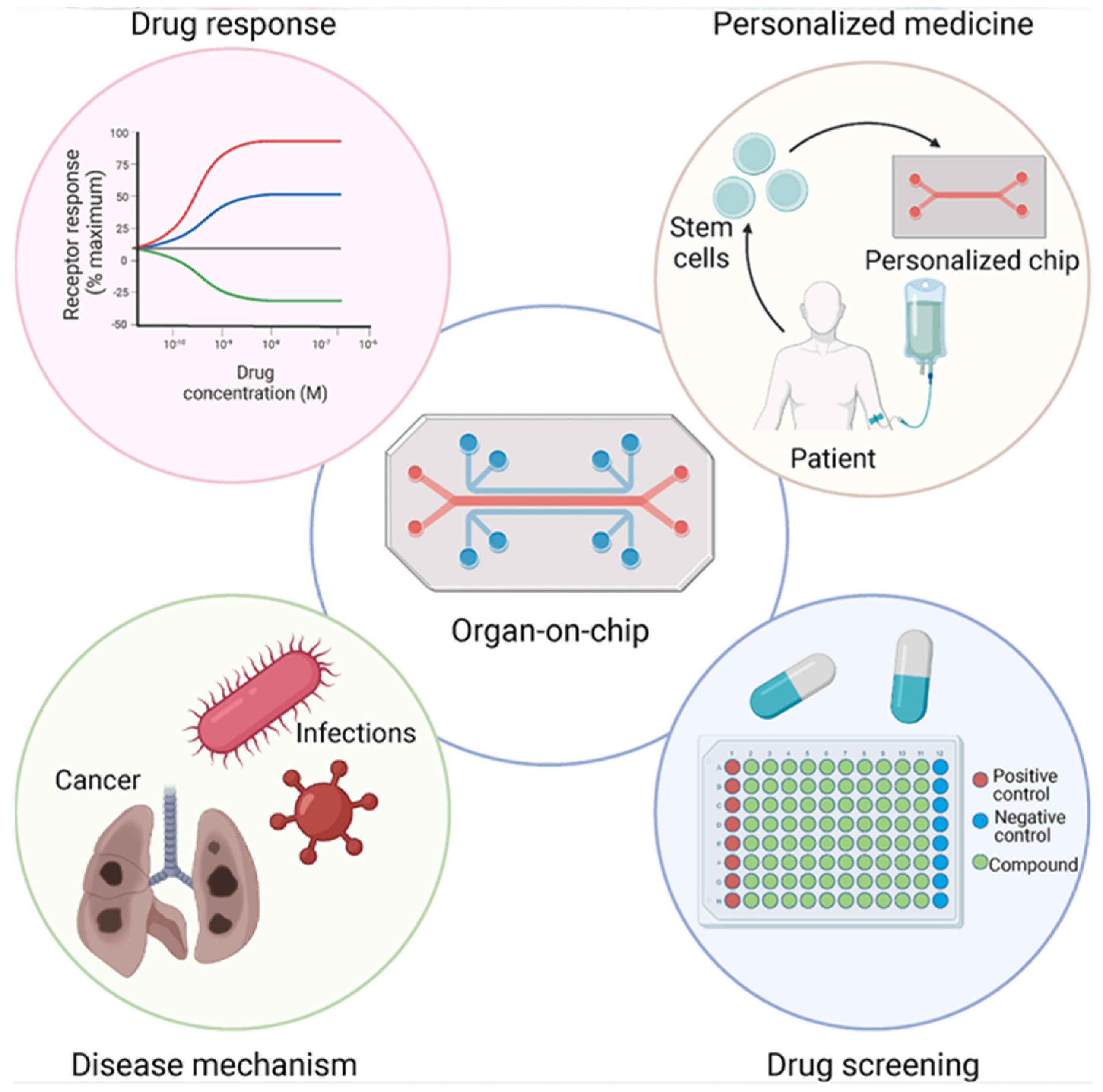 Bioengineering 13 00363 g005