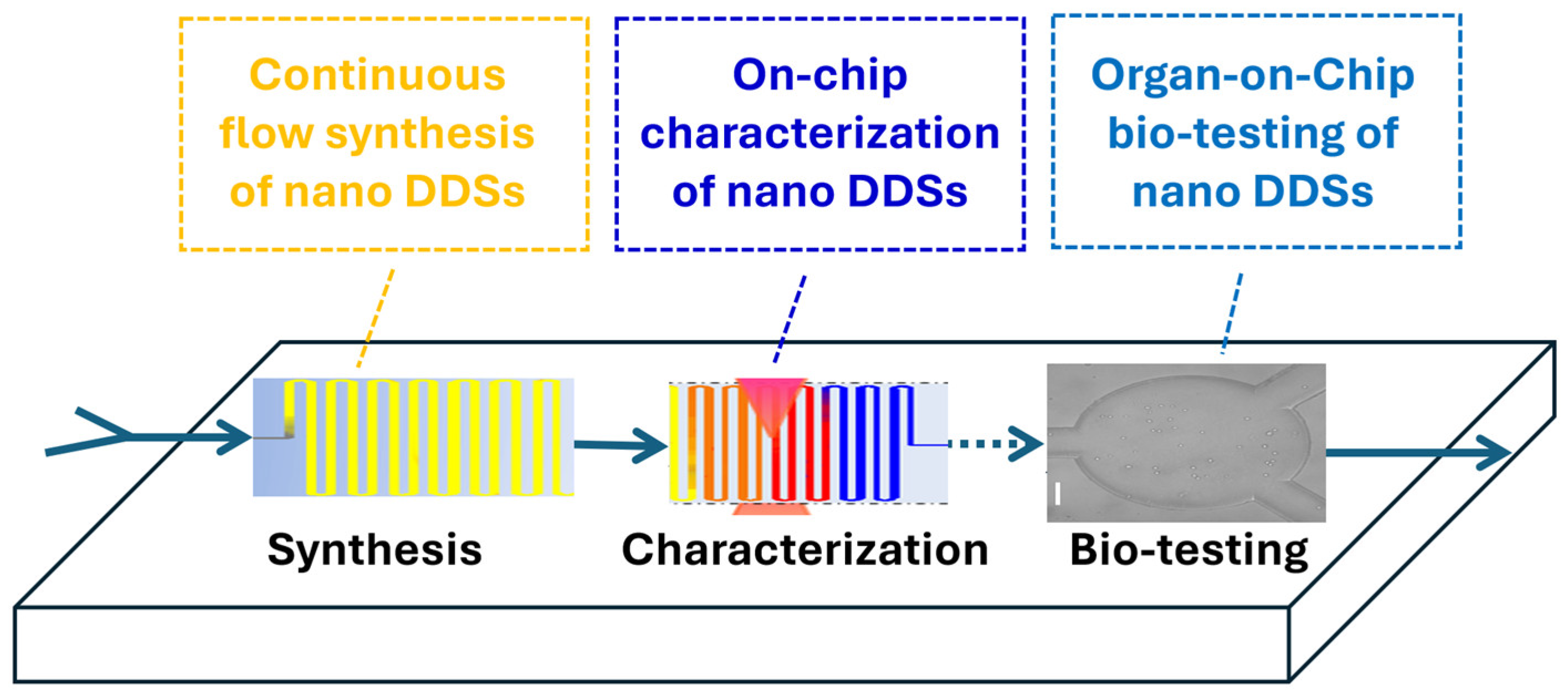 Bioengineering 13 00363 g006