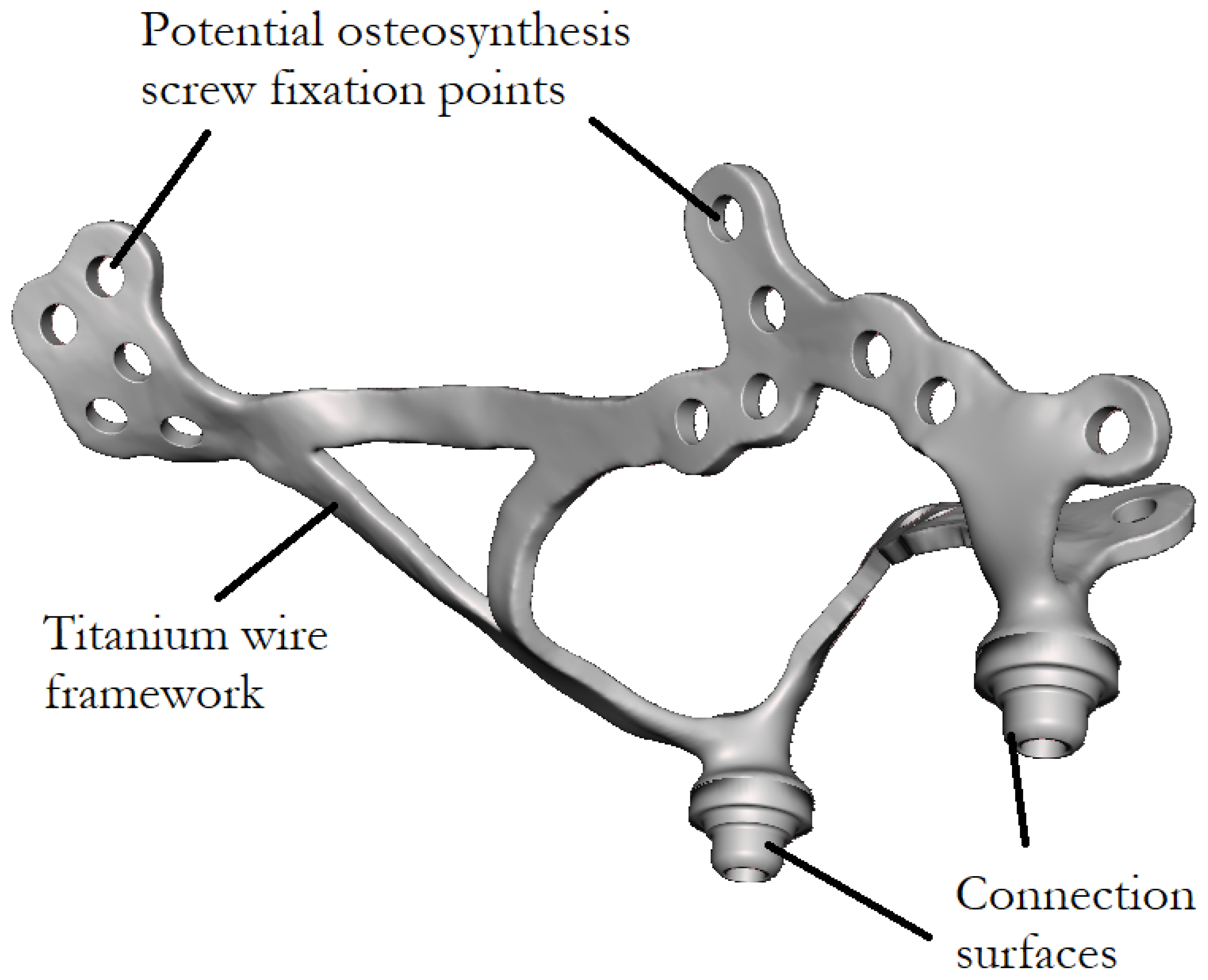 Bioengineering 13 00368 g001