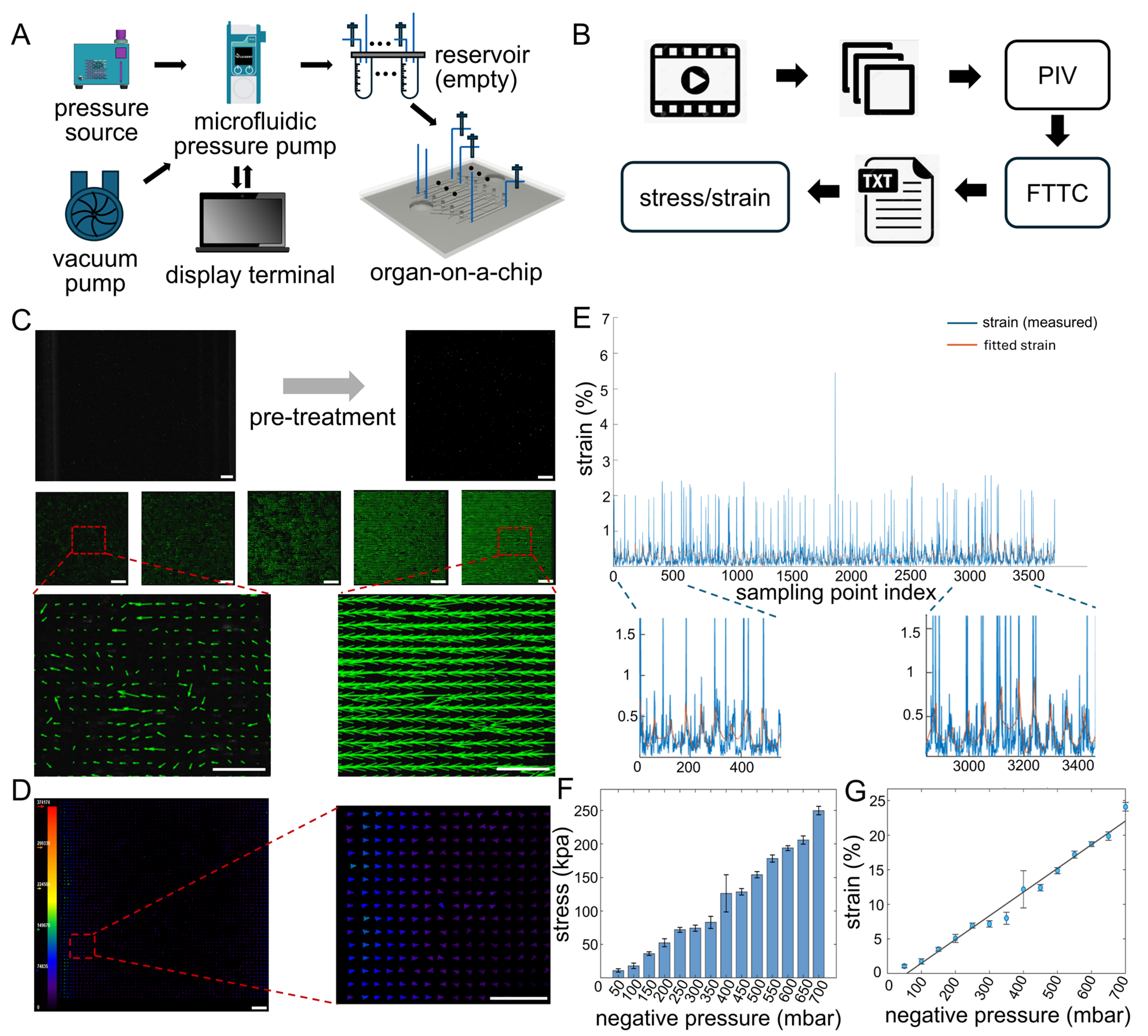 Bioengineering 13 00371 g003 Bioengineering 13 00371 g003