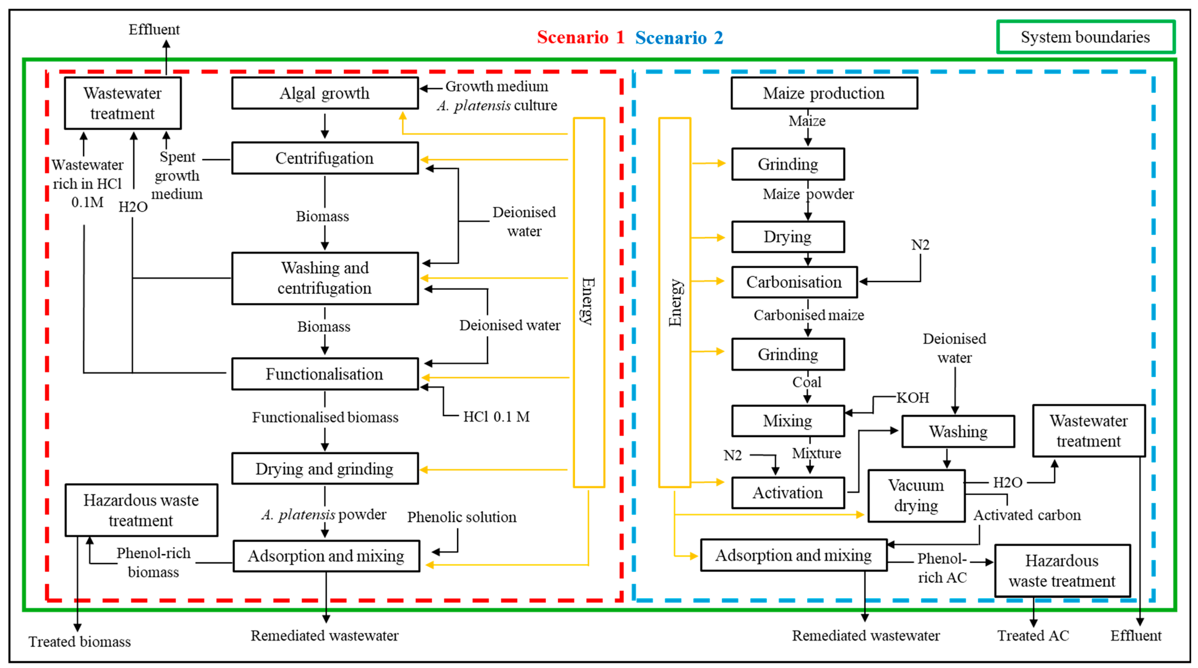 Bioengineering 13 00373 g001
