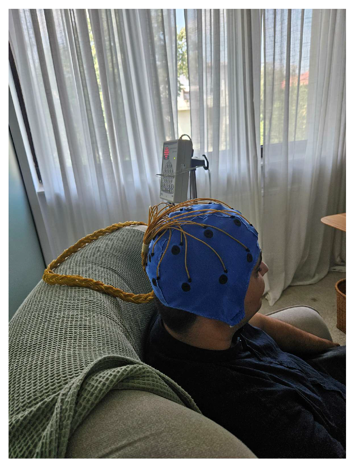 Bioengineering 13 00395 g007