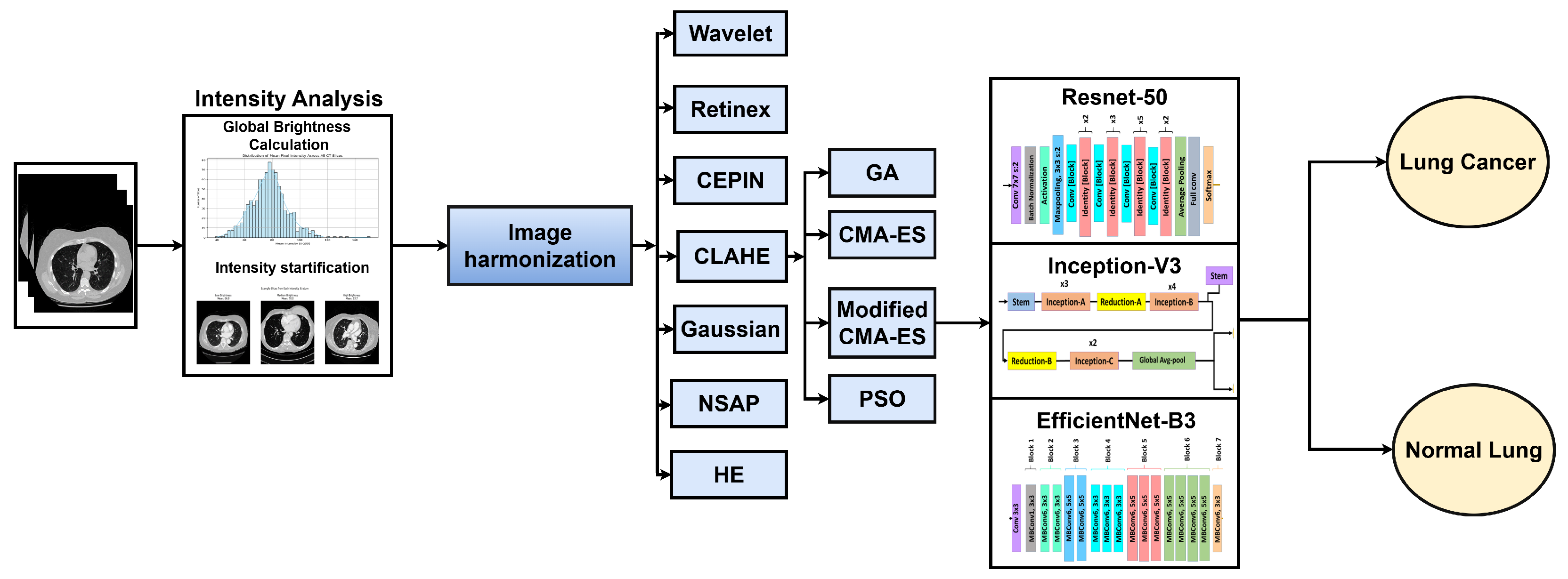 Bioengineering 13 00396 g001