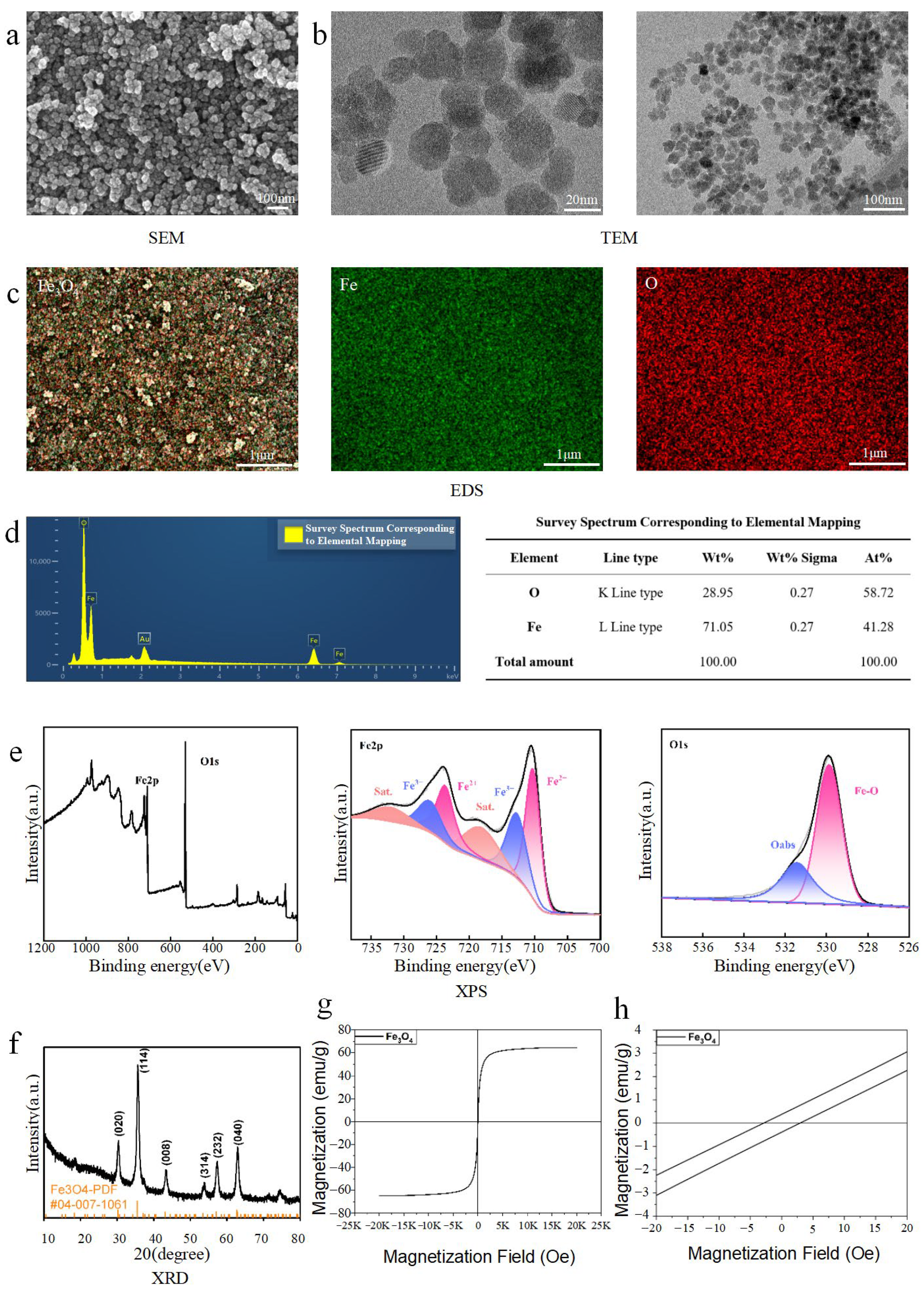 Bioengineering 13 00402 g001