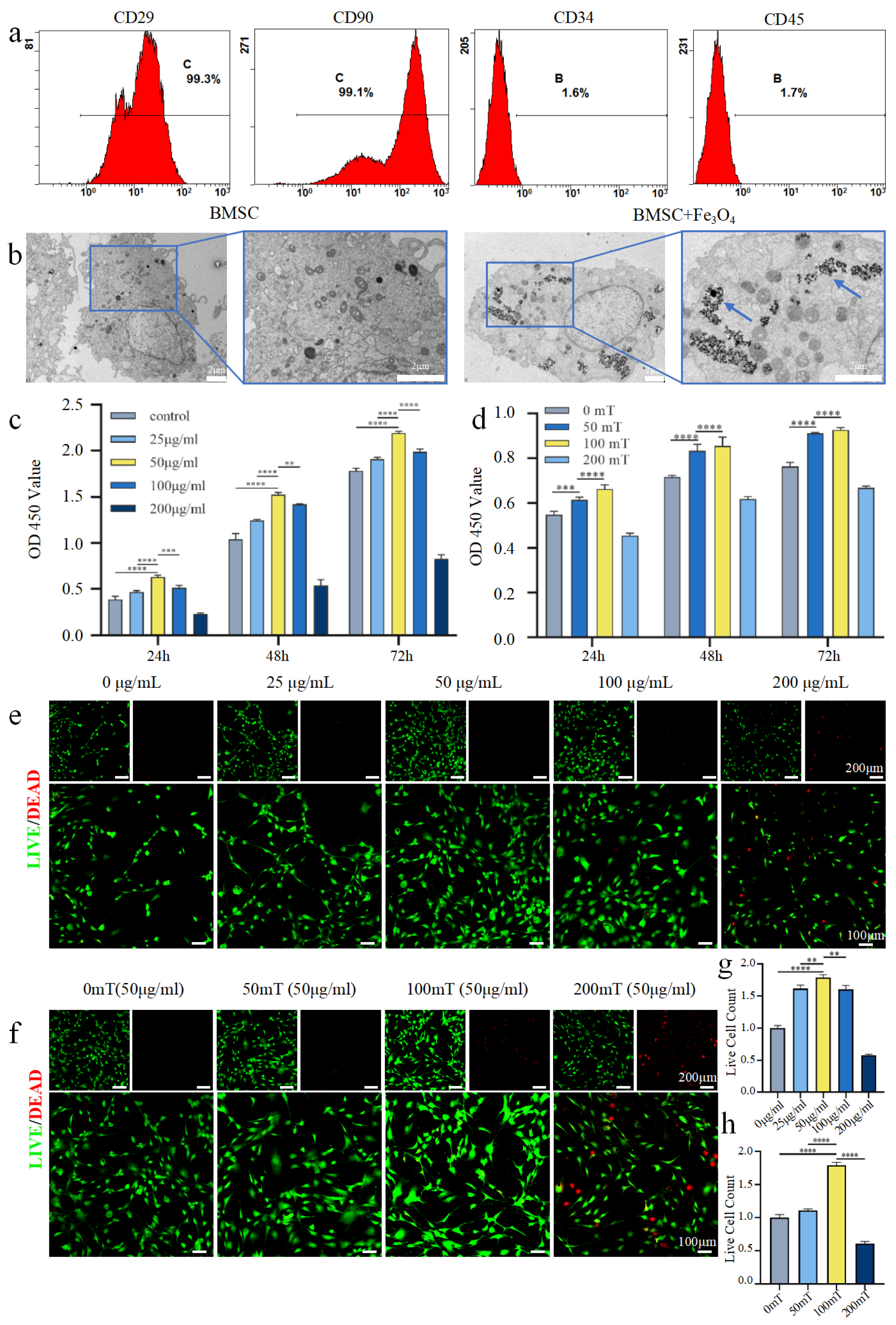 Bioengineering 13 00402 g002