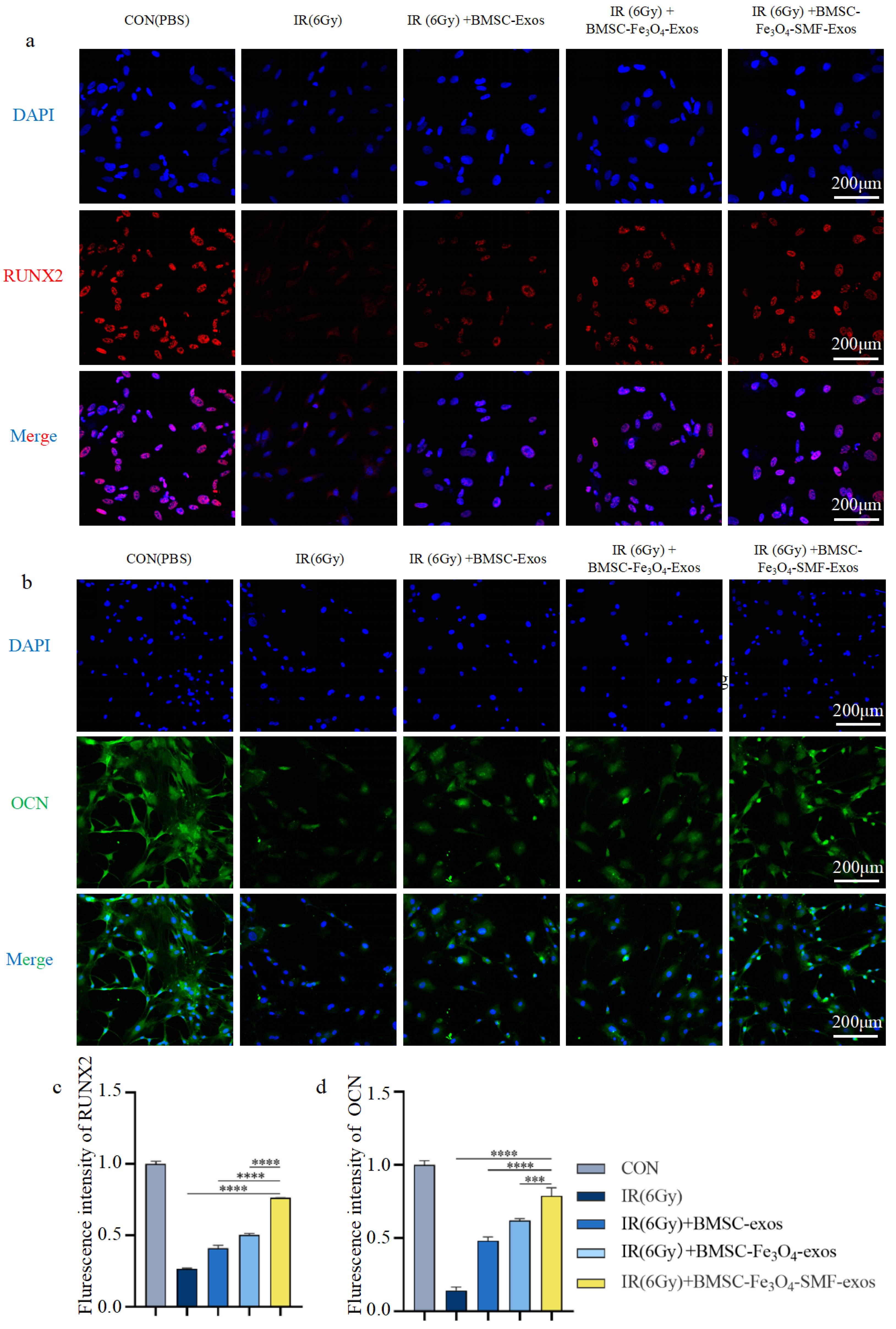 Bioengineering 13 00402 g005