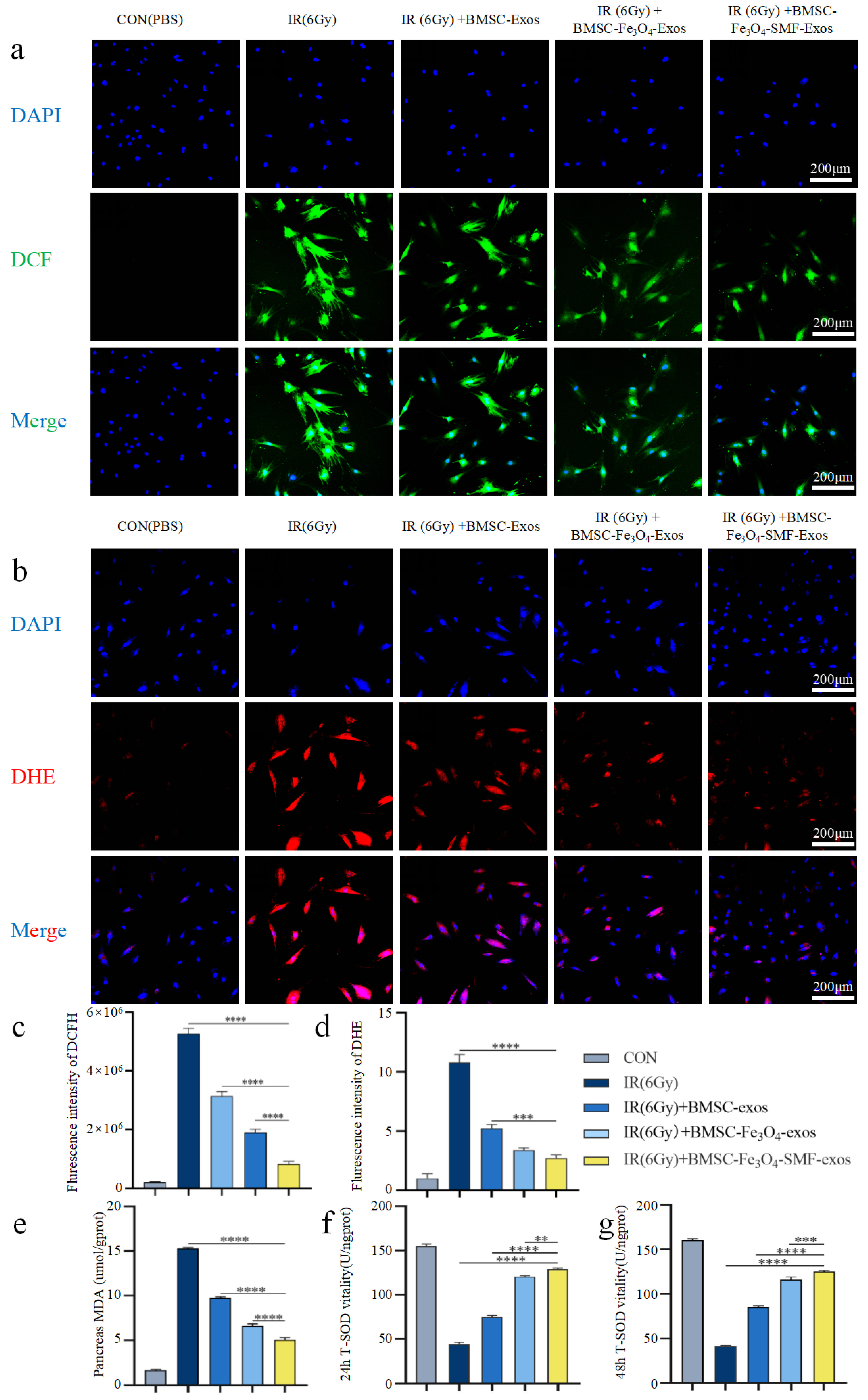 Bioengineering 13 00402 g006