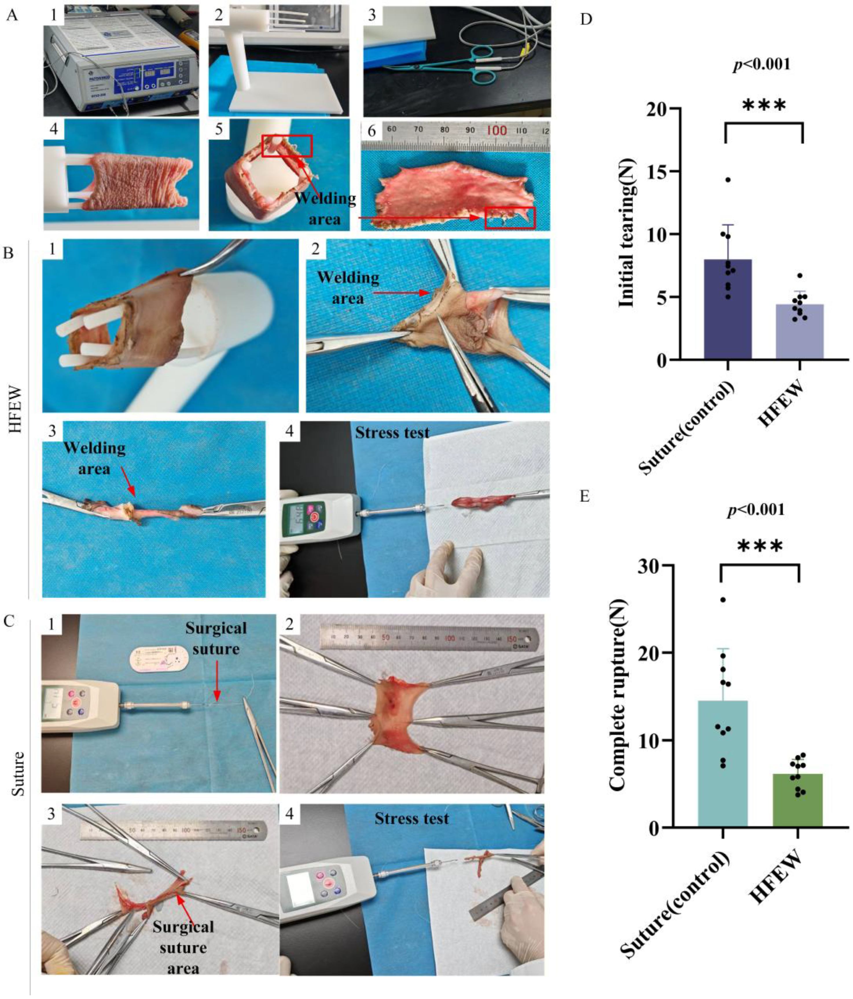 Bioengineering 13 00411 g002 Bioengineering 13 00411 g002