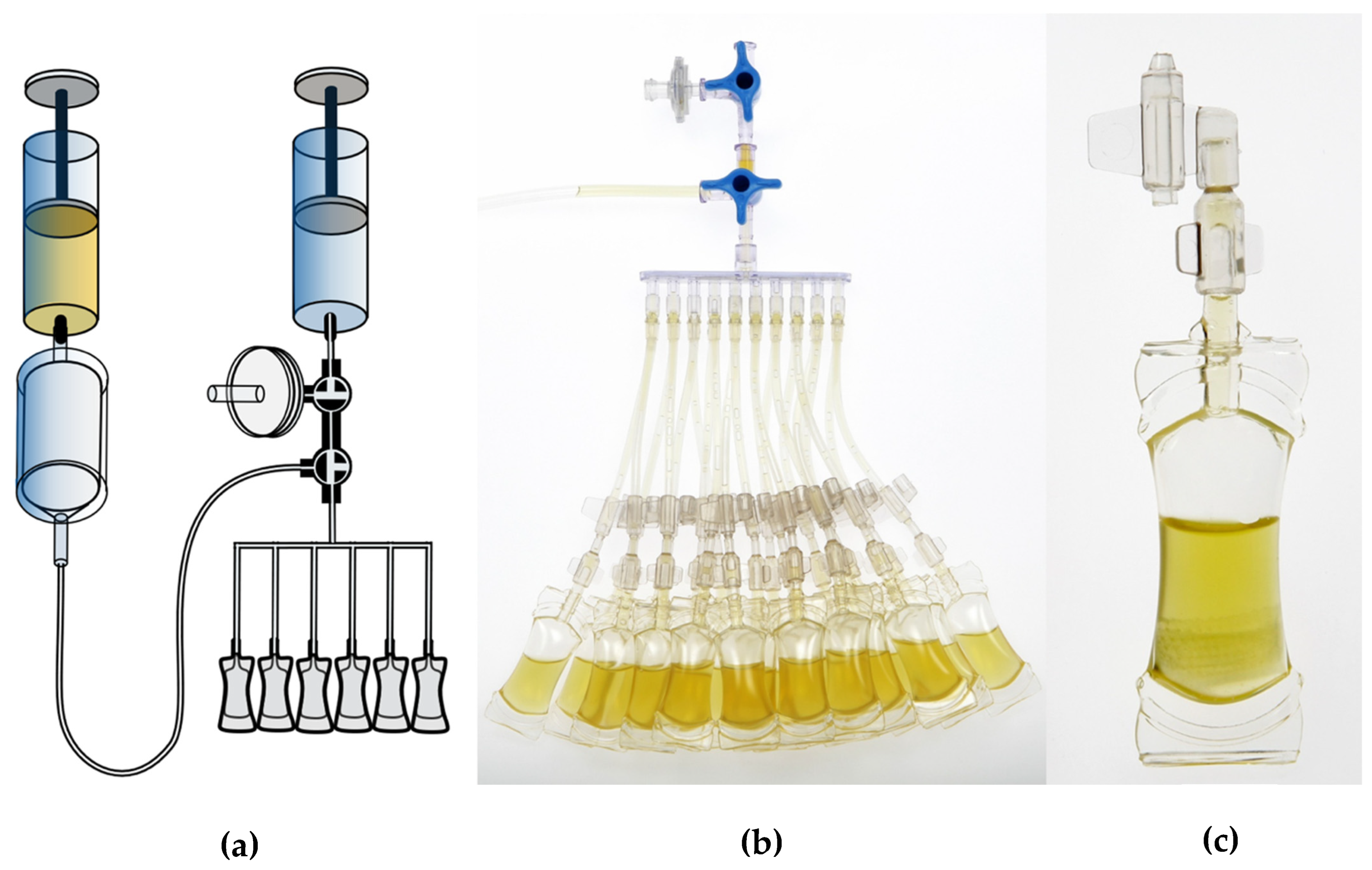 Bioengineering 13 00417 g001