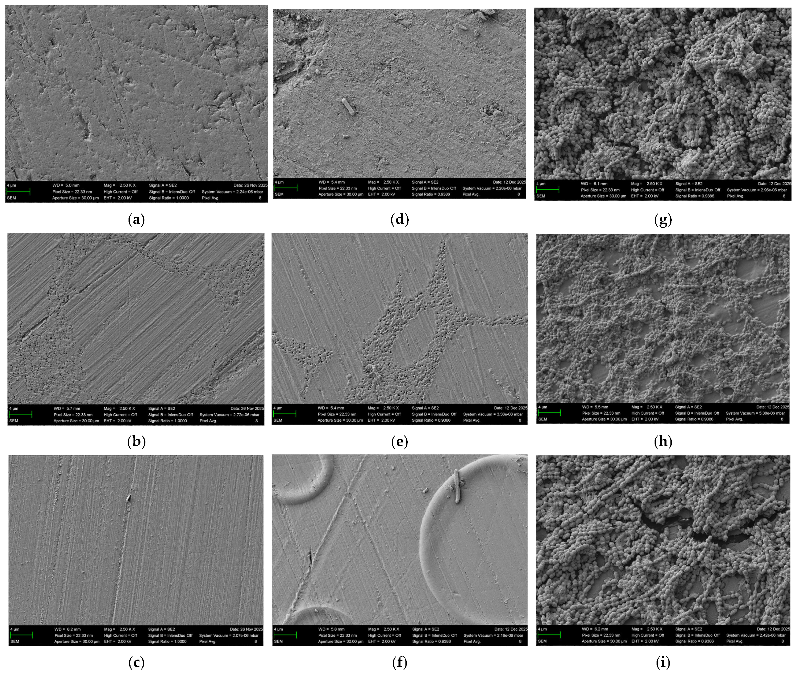 Bioengineering 13 00424 g006 Bioengineering 13 00424 g006
