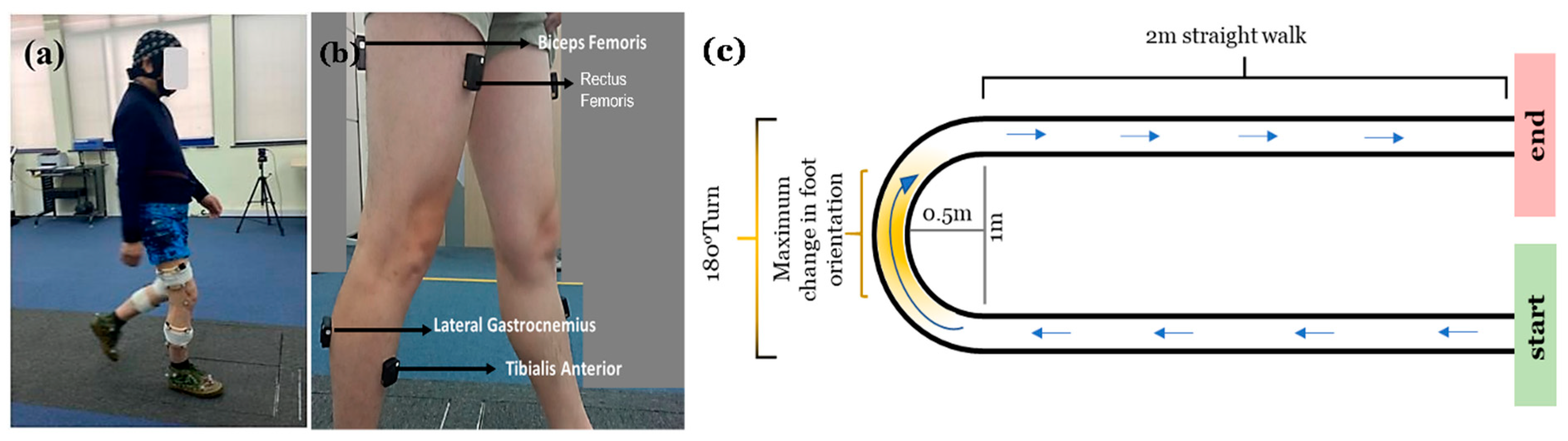 Bioengineering 13 00453 g001