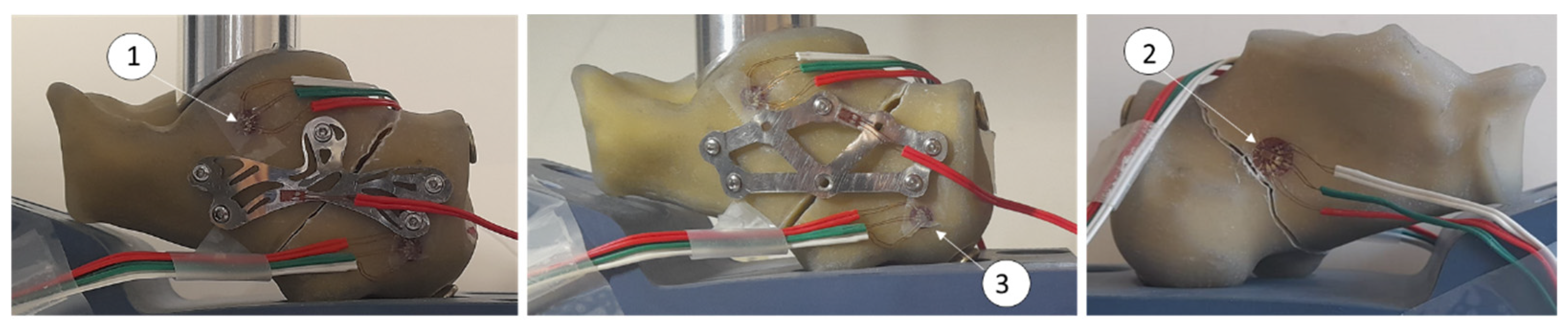 Bioengineering 13 00460 g003 Bioengineering 13 00460 g003