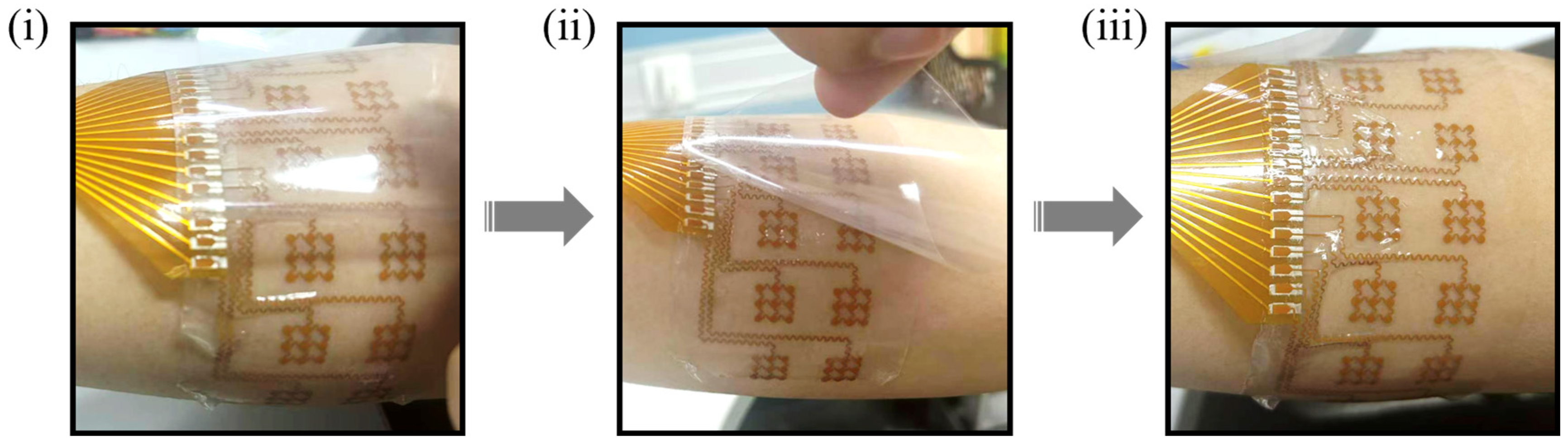 Bioengineering 13 00467 g005 Bioengineering 13 00467 g005