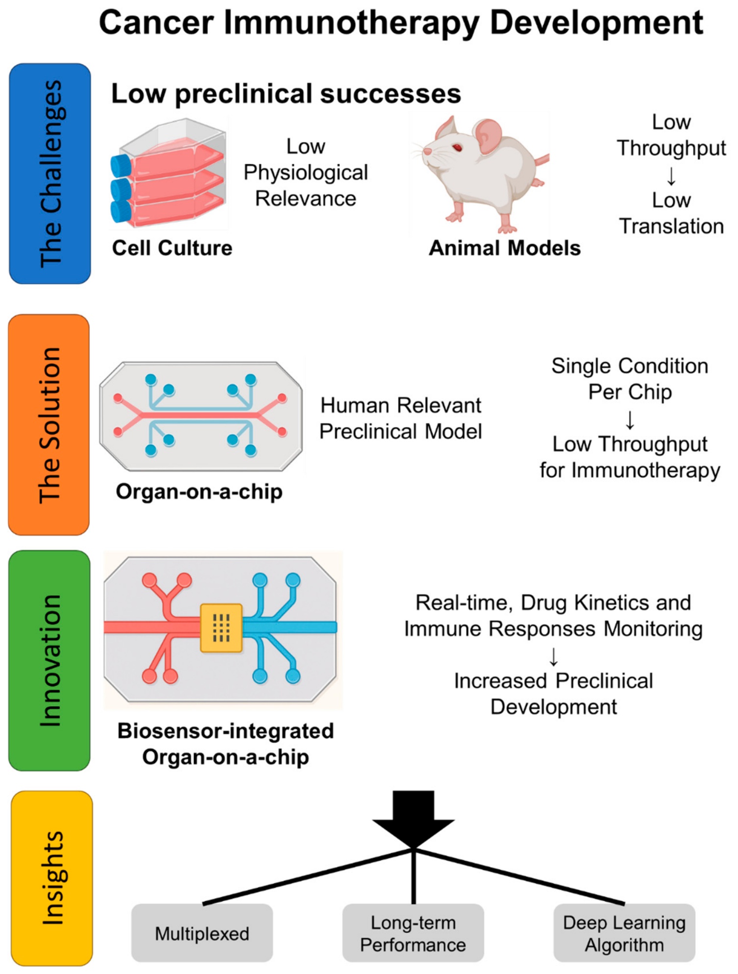 Bioengineering 13 00492 g001