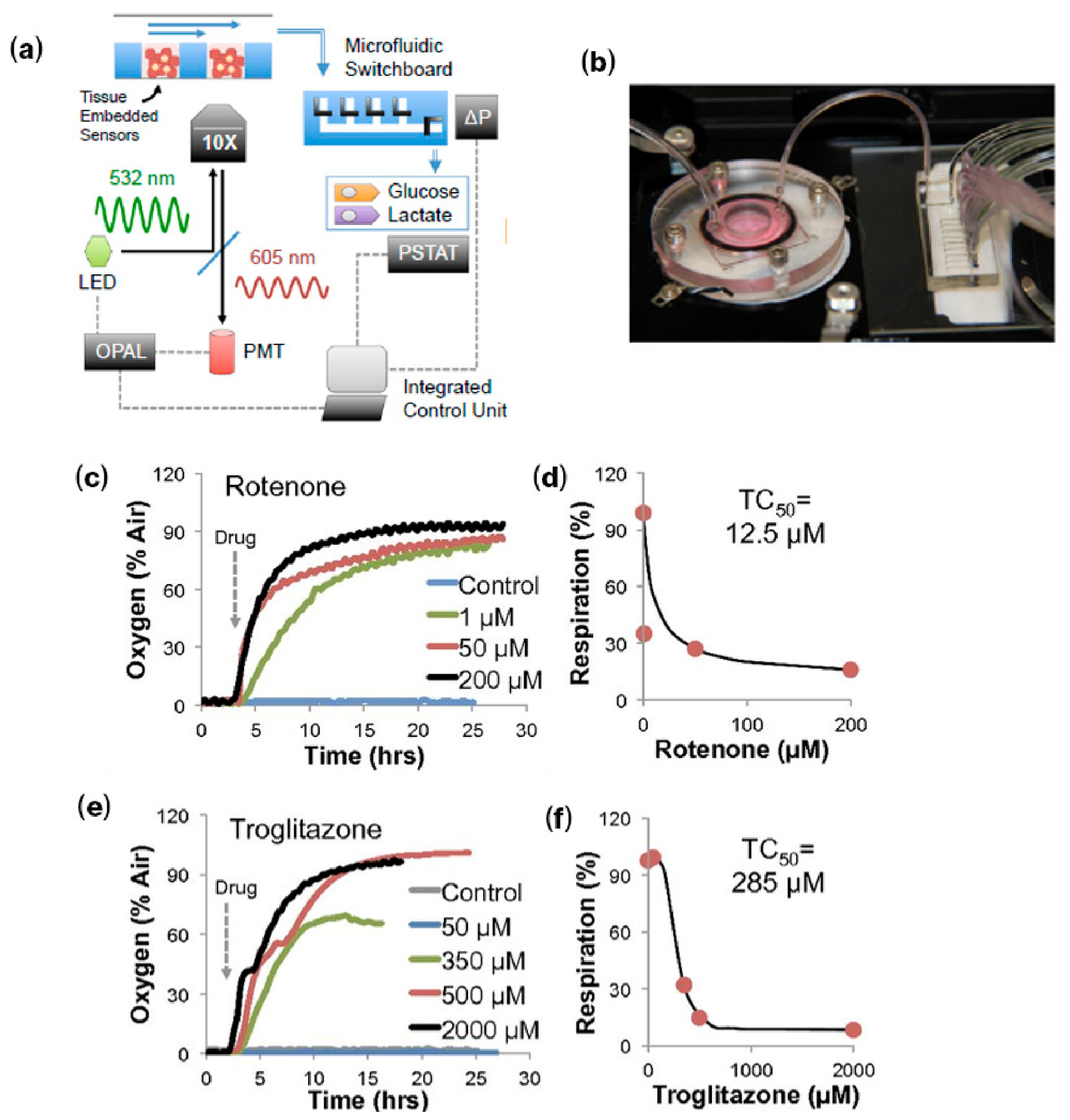 Bioengineering 13 00492 g005