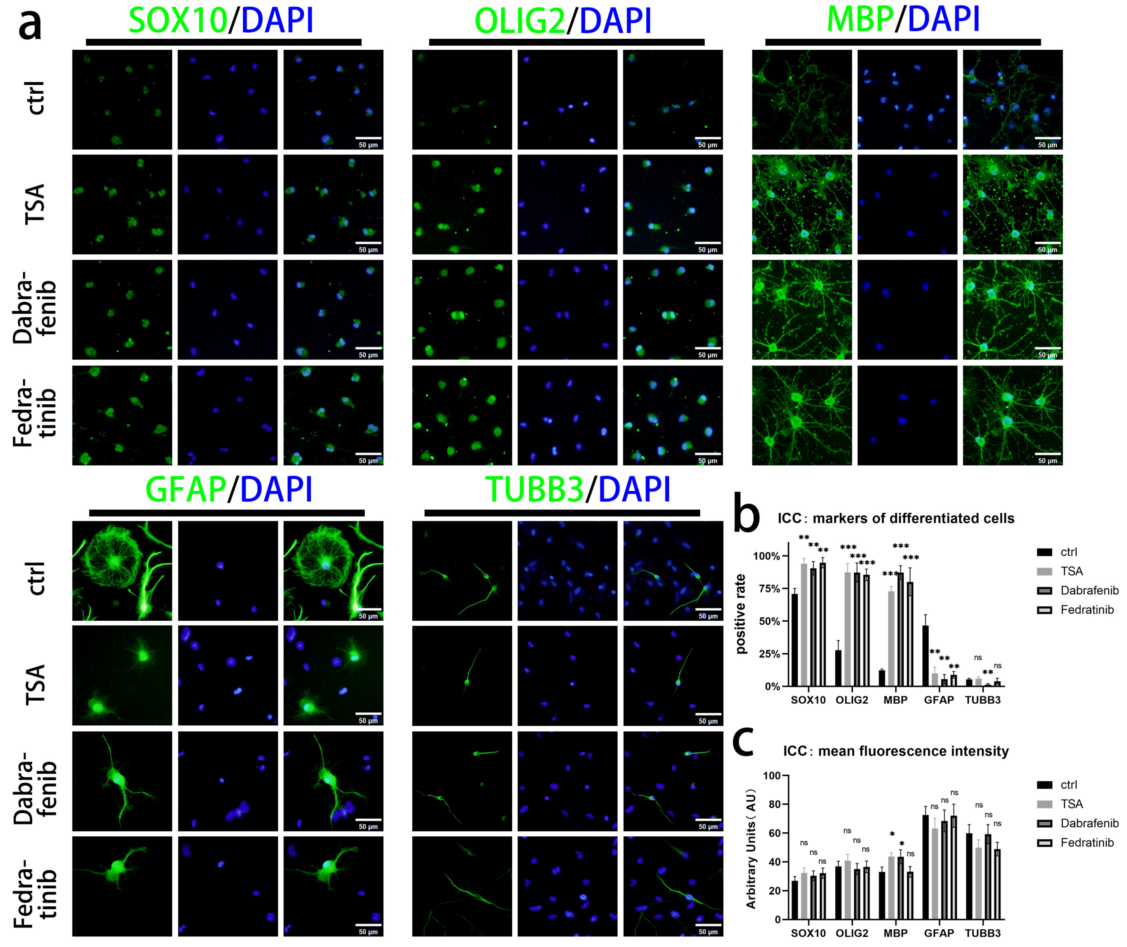 Bioengineering 13 00500 g009