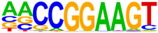 Bioengineering 13 00500 i004
