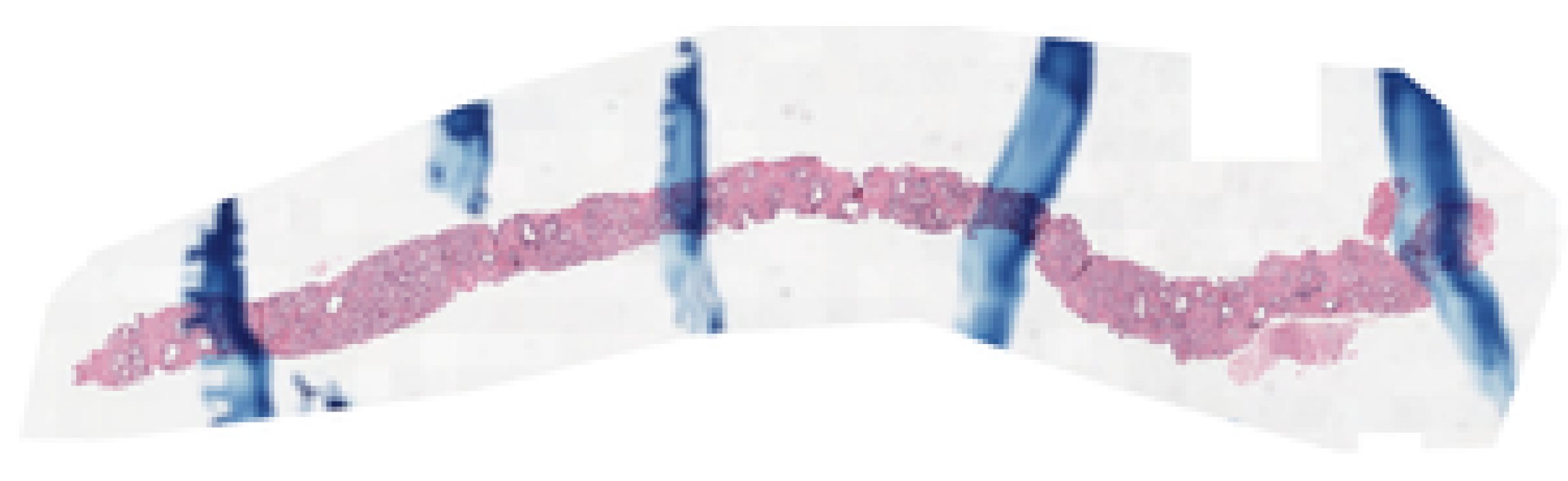 Bioengineering 13 00503 g007