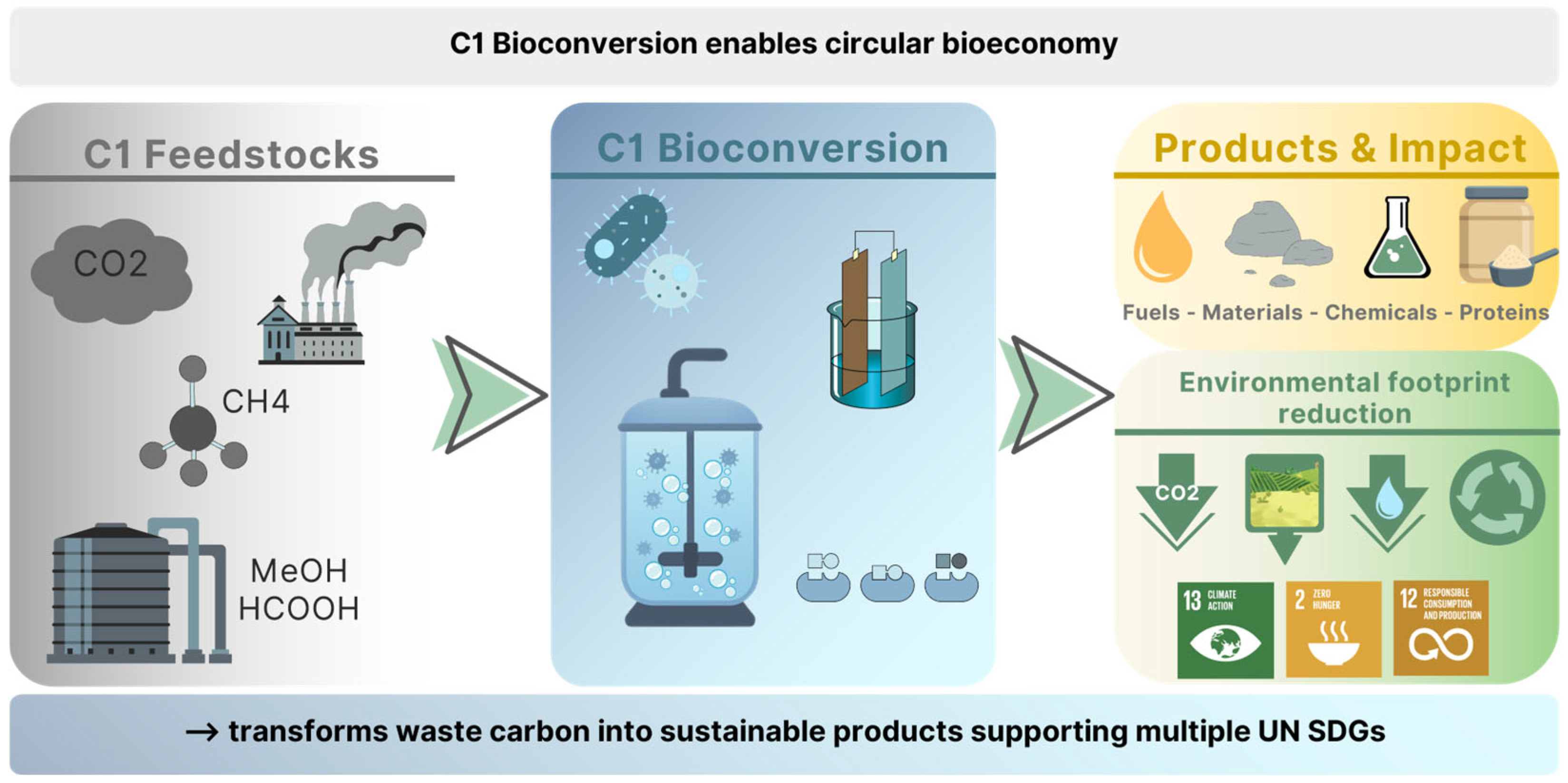 Bioengineering 13 00505 g001